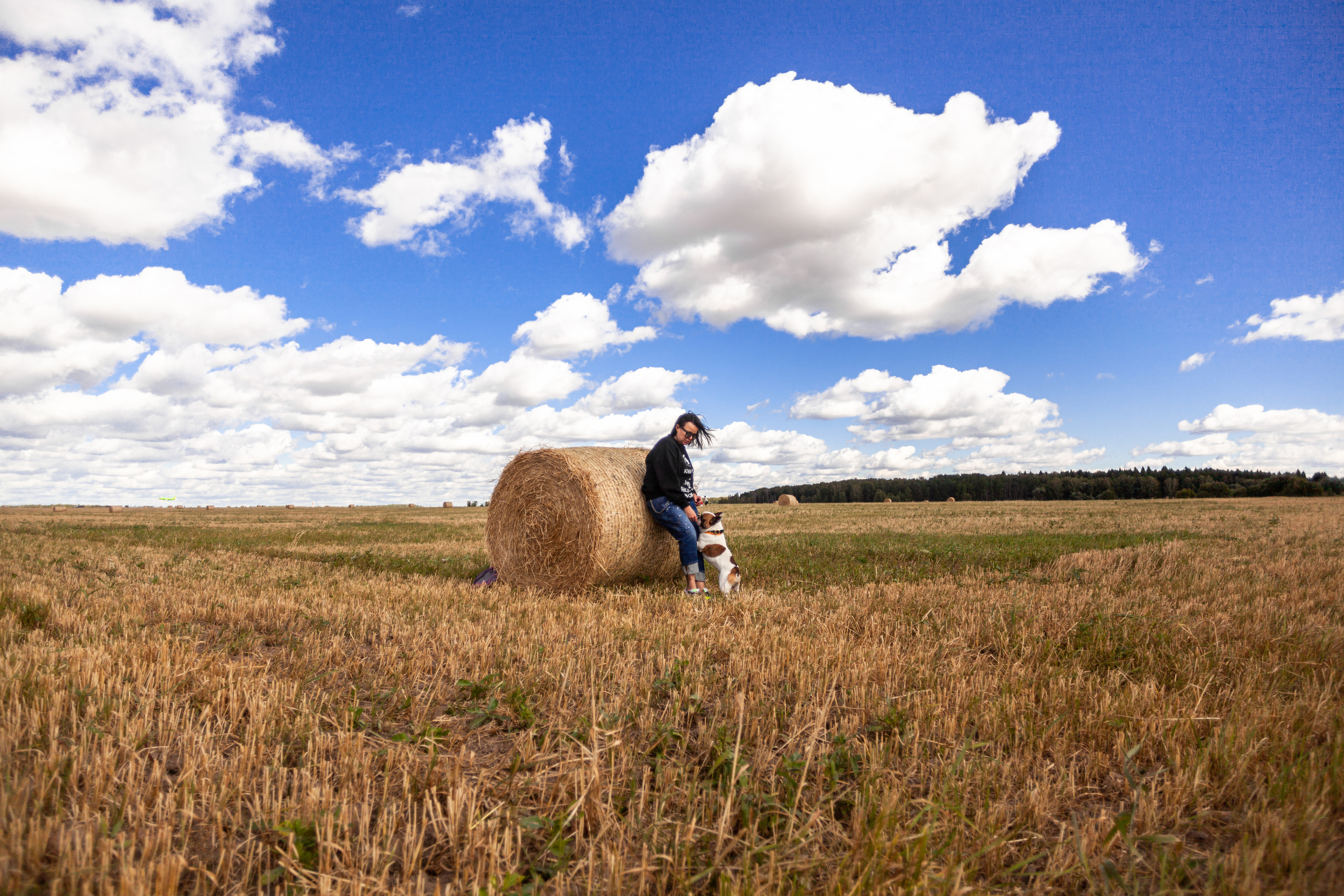Коломна, стога и подсолнухи. Фотограф-анималист Татьяна Степанова