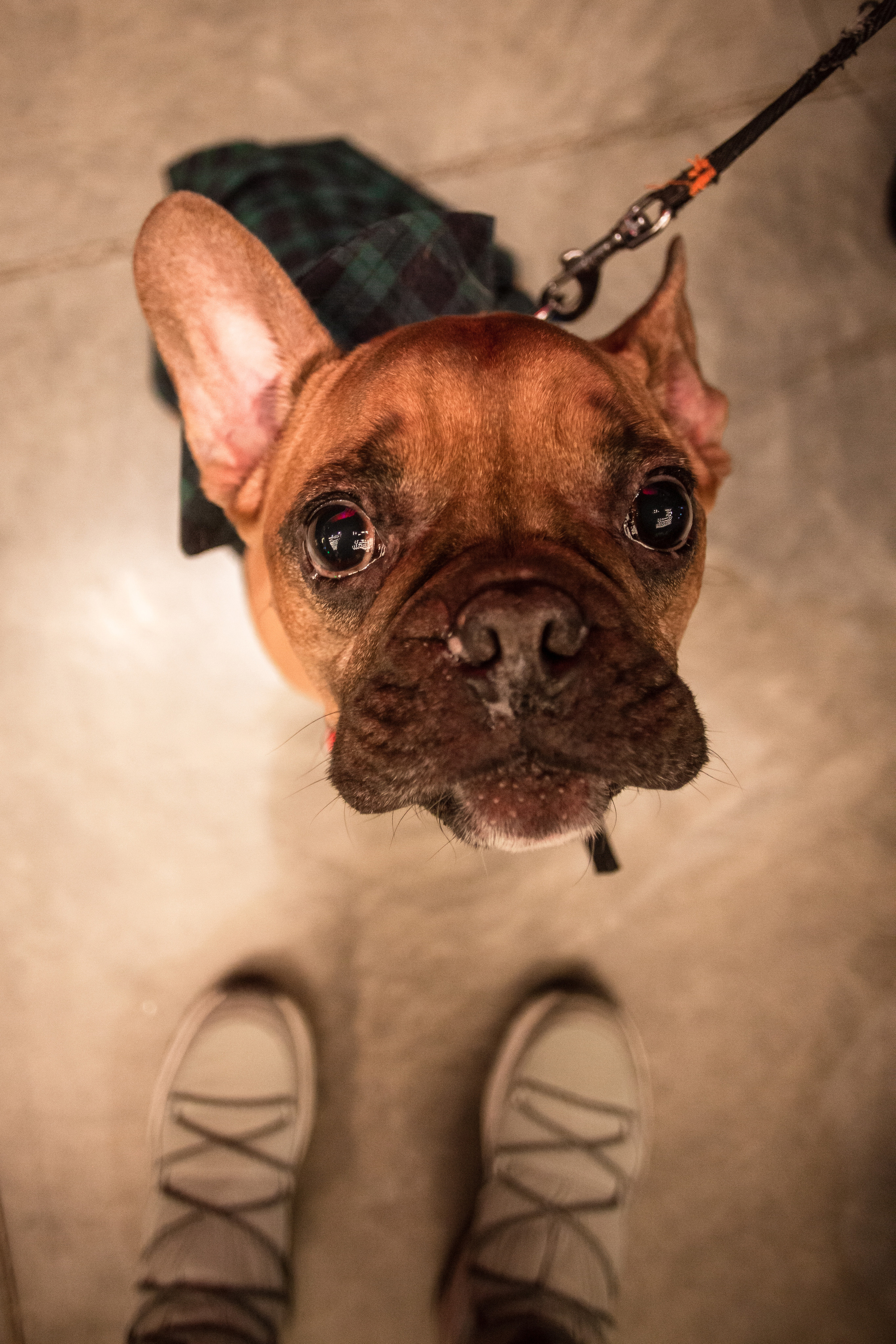 Бульелка 2022. Фотограф-анималист Татьяна Степанова