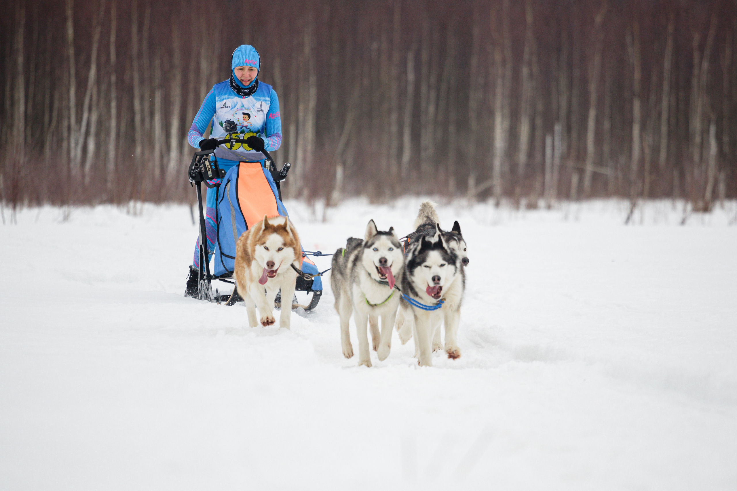 Холодные игры 28 февраля 2022. Фотограф-анималист Татьяна Степанова