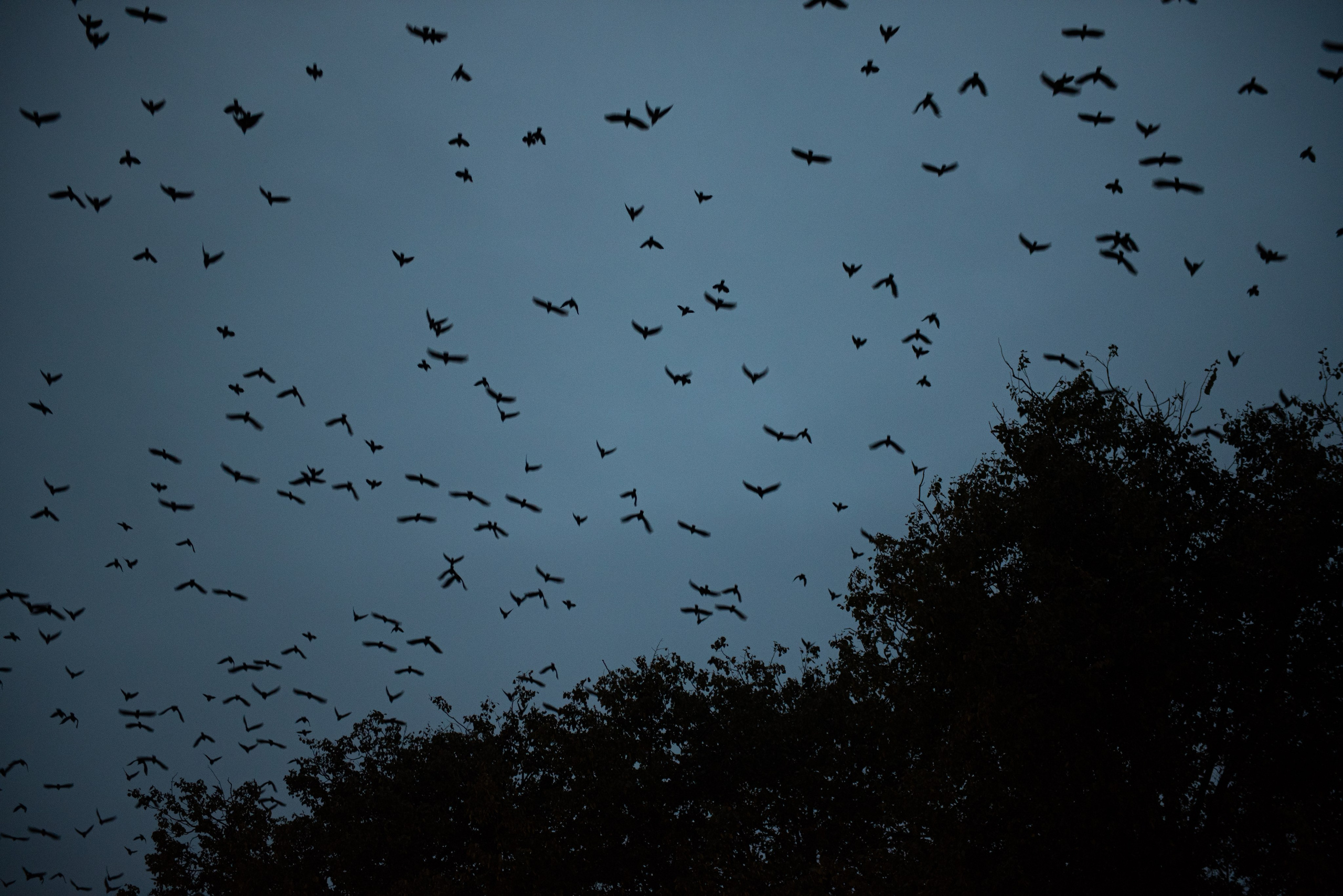 Мурмурация. Портретный и архитектурный фотограф в Москве и Санкт-Петербурге