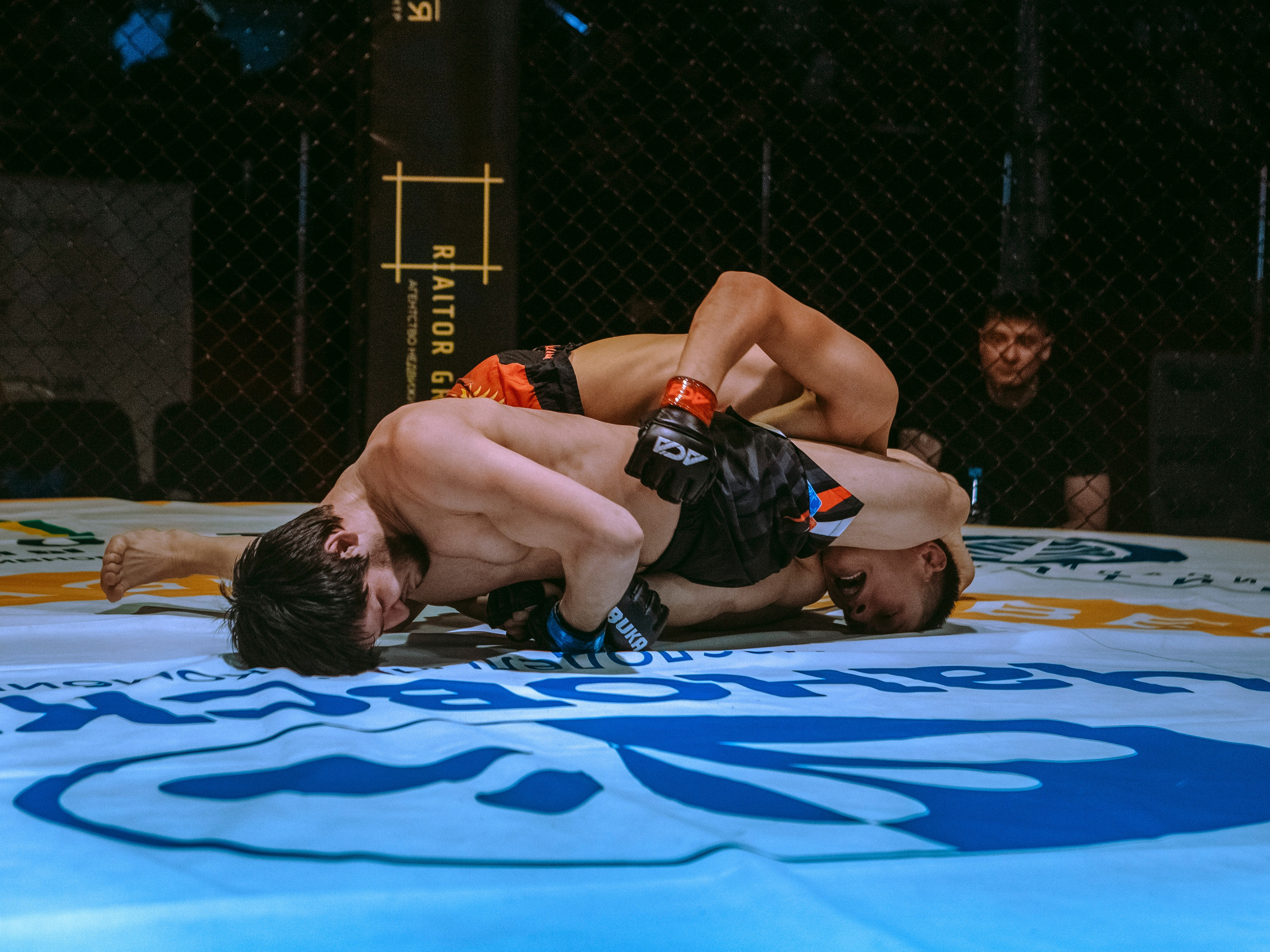 SFL 17 | Siberian Fighting League. Портретный фотограф в Москве Дарья Цезария