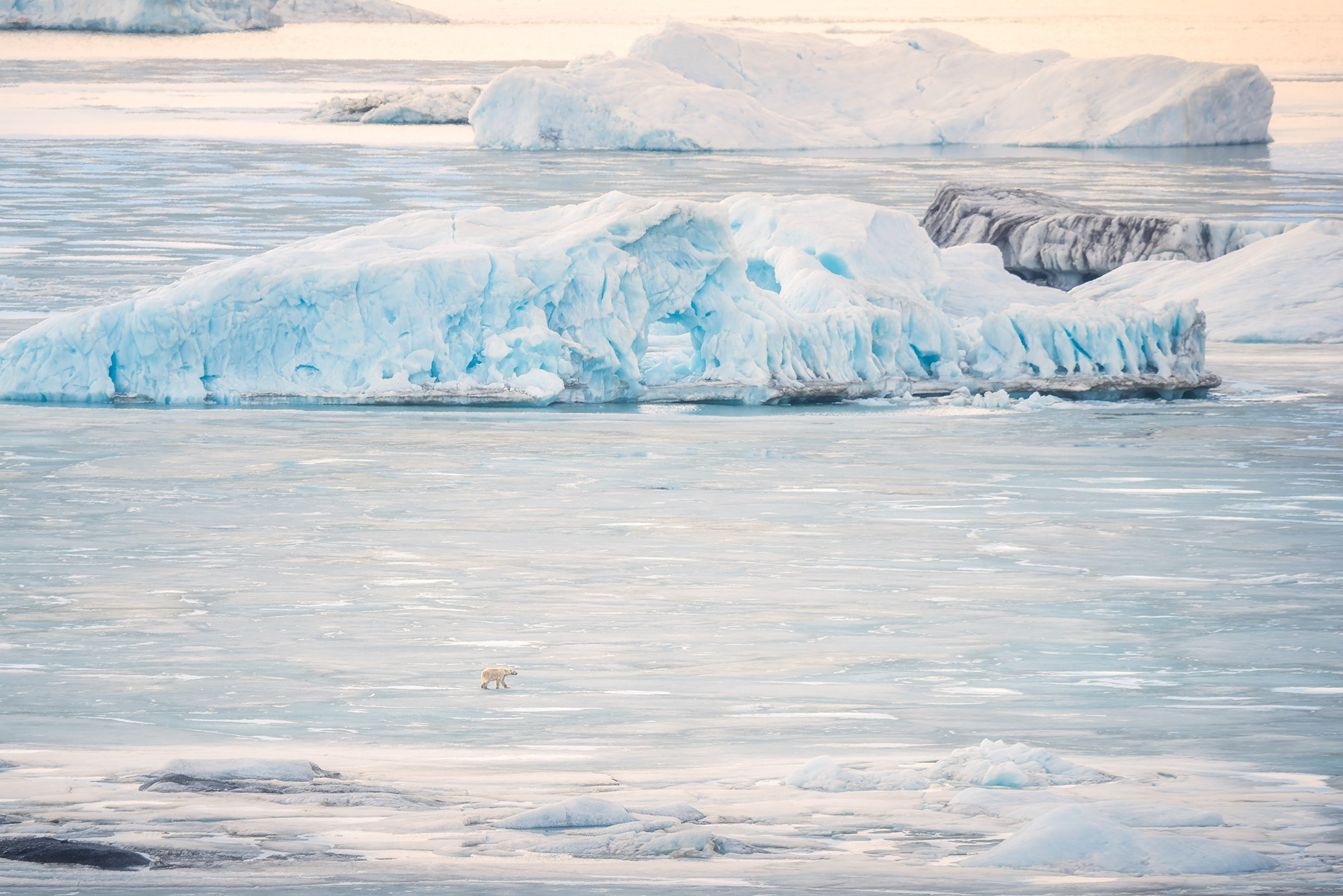 Арктика. Аэросъемка в Архангельске, Александр Ермолин