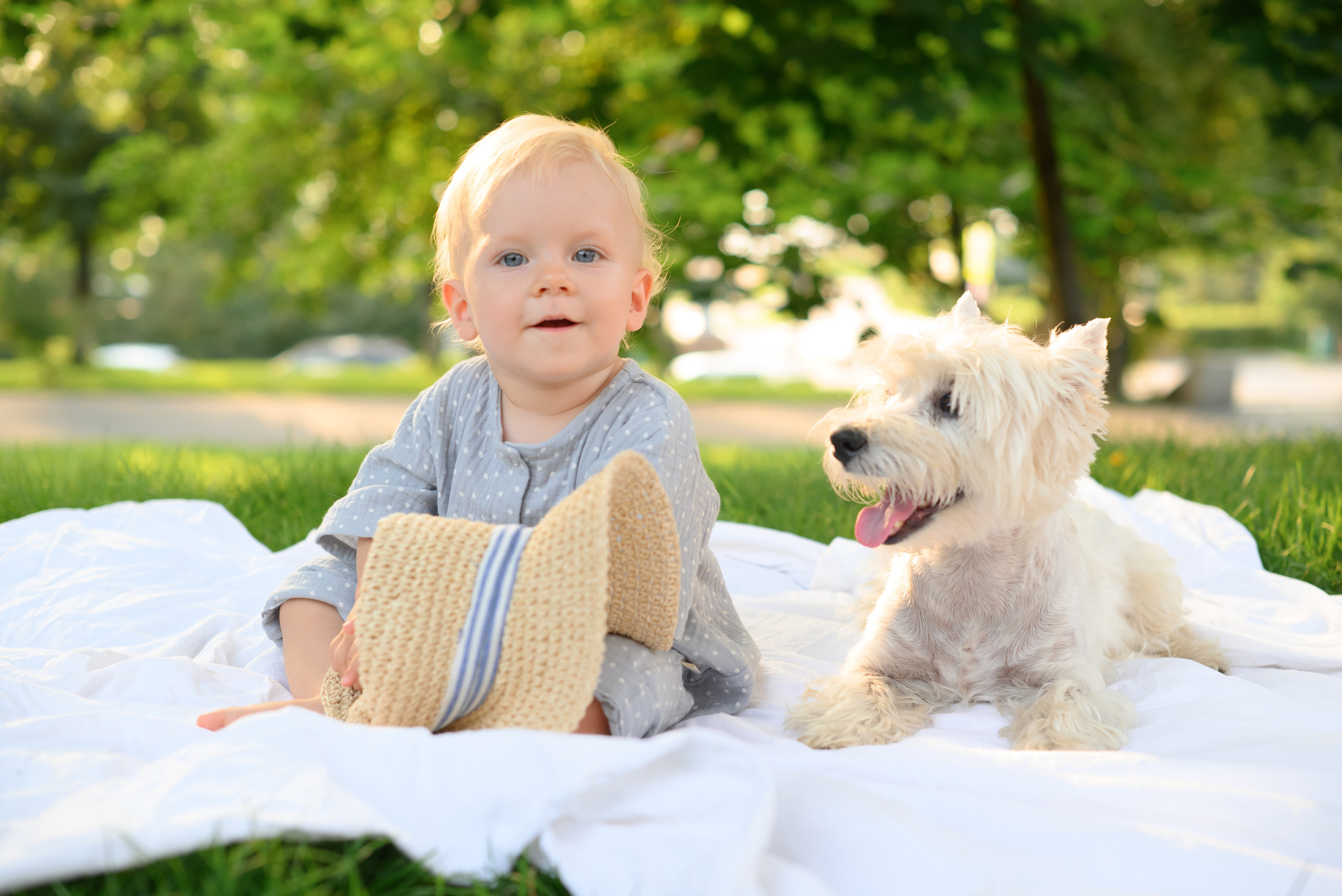 СЕМЕЙНЫЕ. Главная