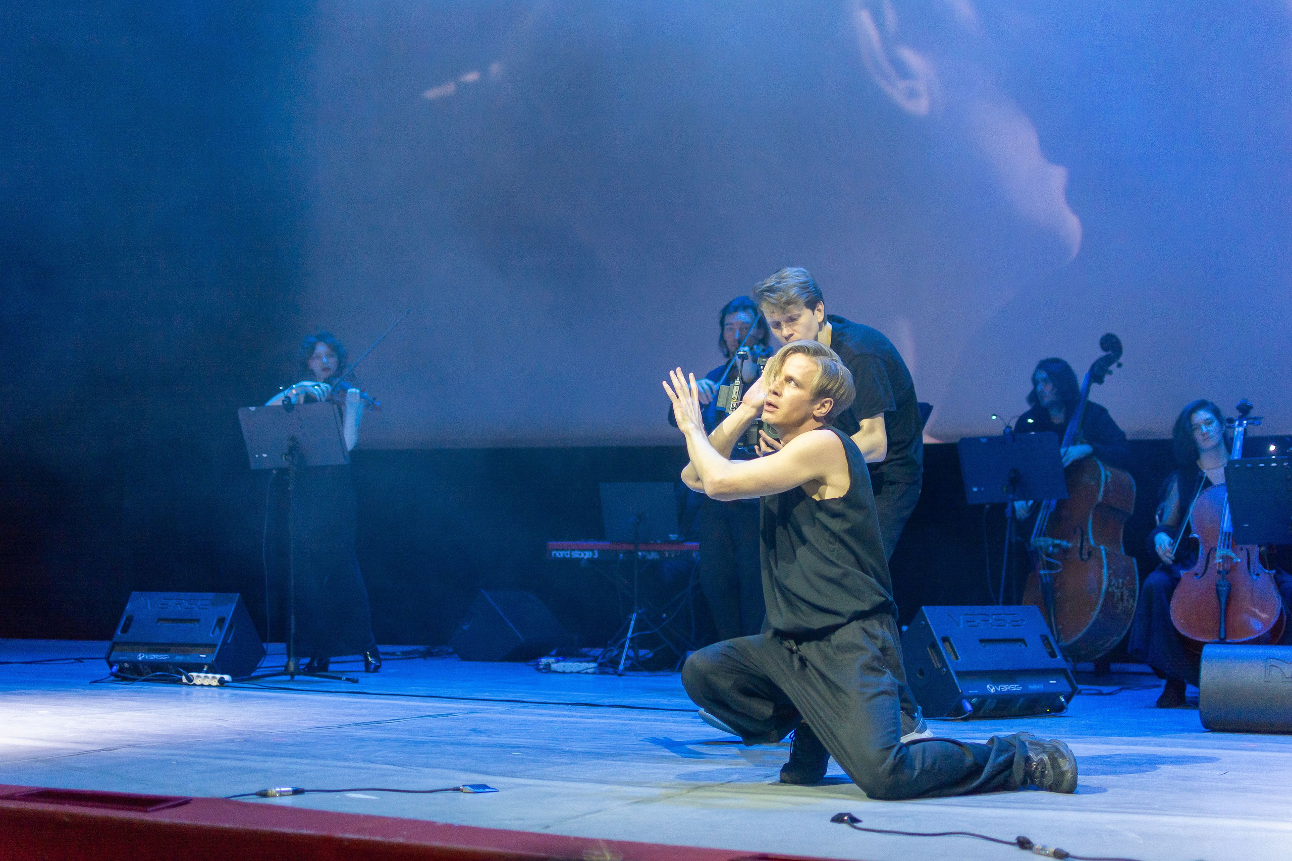 Концерт оркестра Cinematica. Репортажный фотограф в Новосибирске