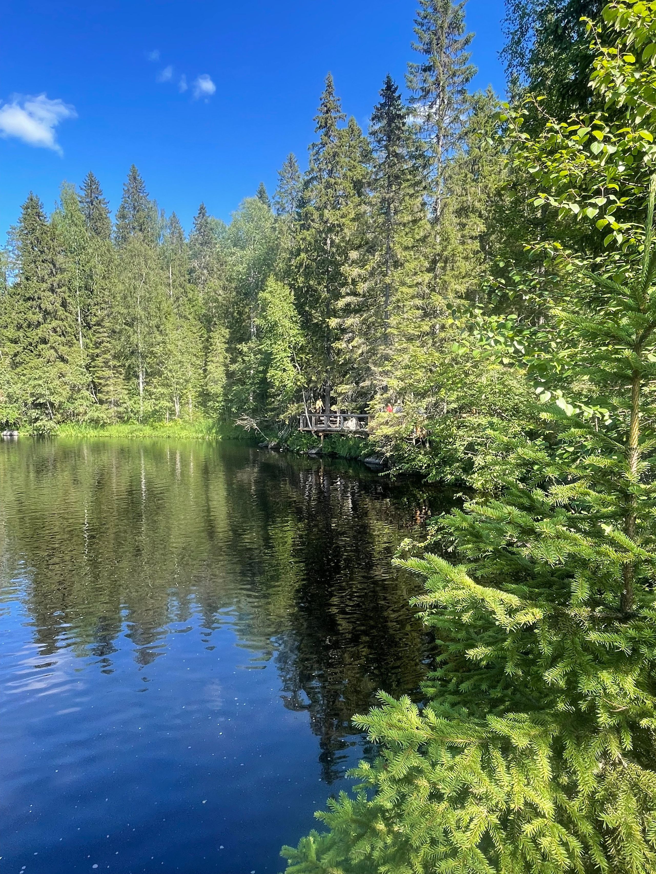 Карелия. Главная