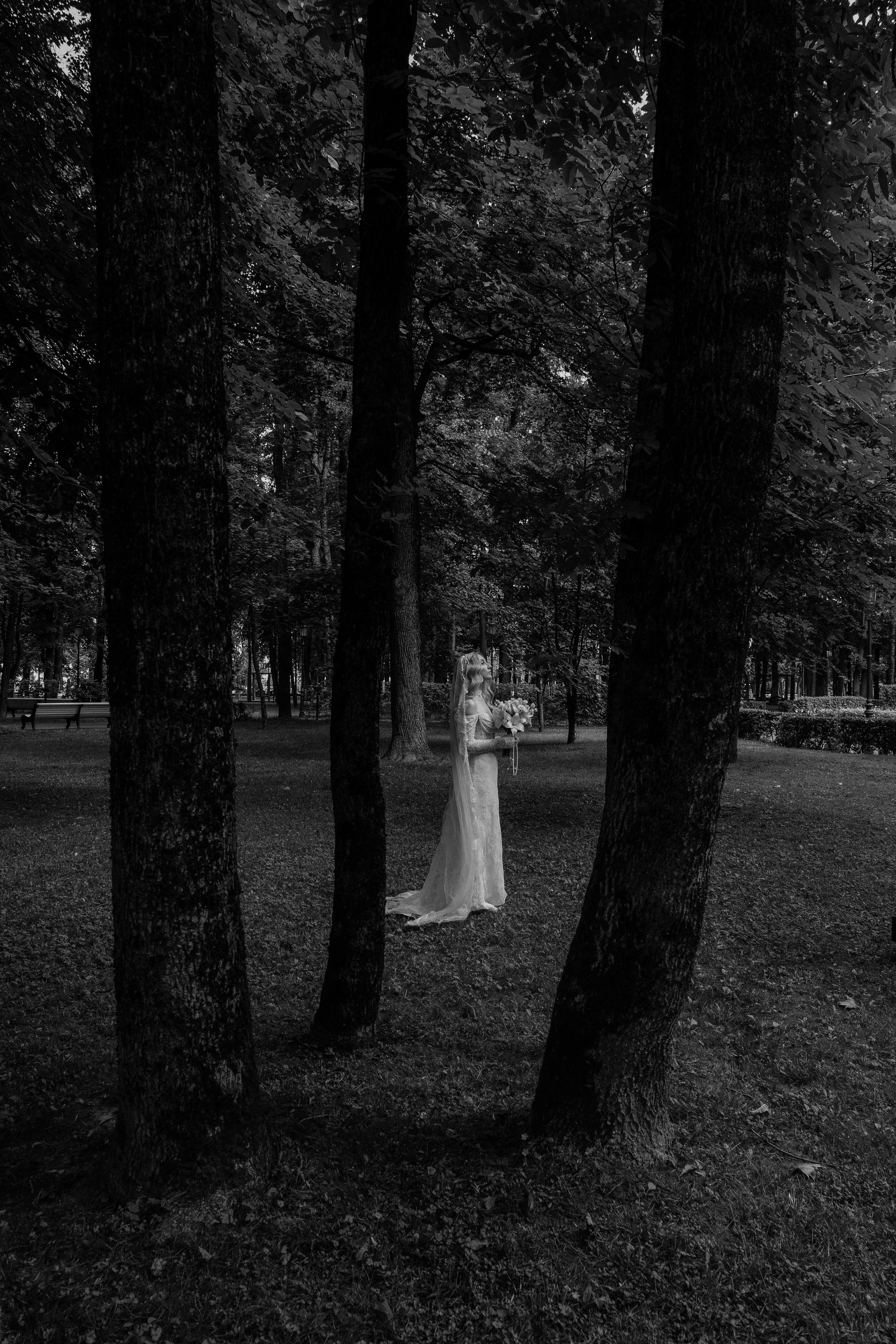 Дмитрий и Елизавета. Свадебный и репортажный фотограф видеограф Брянск/Москва