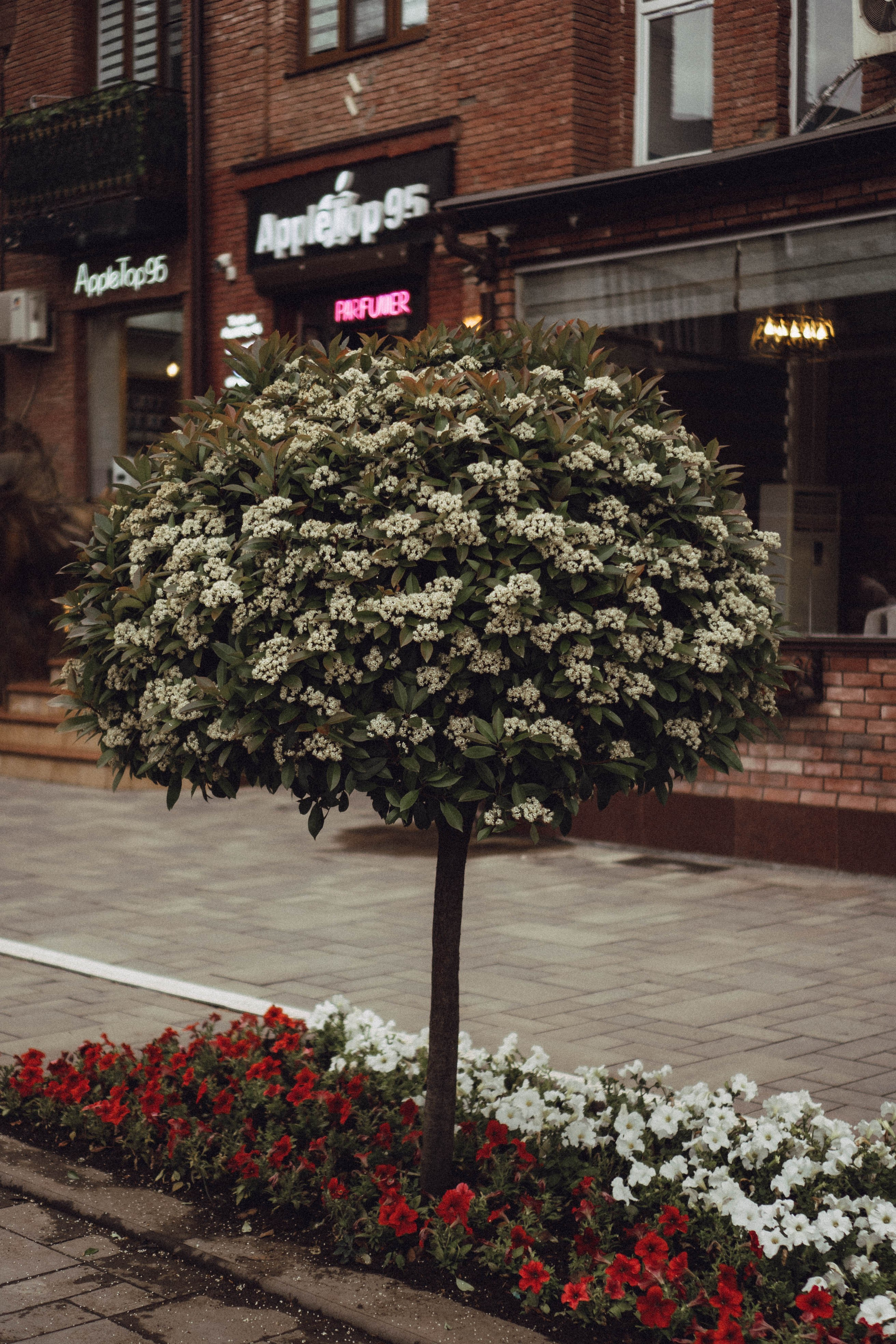Кавказ. Профессиональный фотограф, Санкт-Петербург — Виктория Богомолова