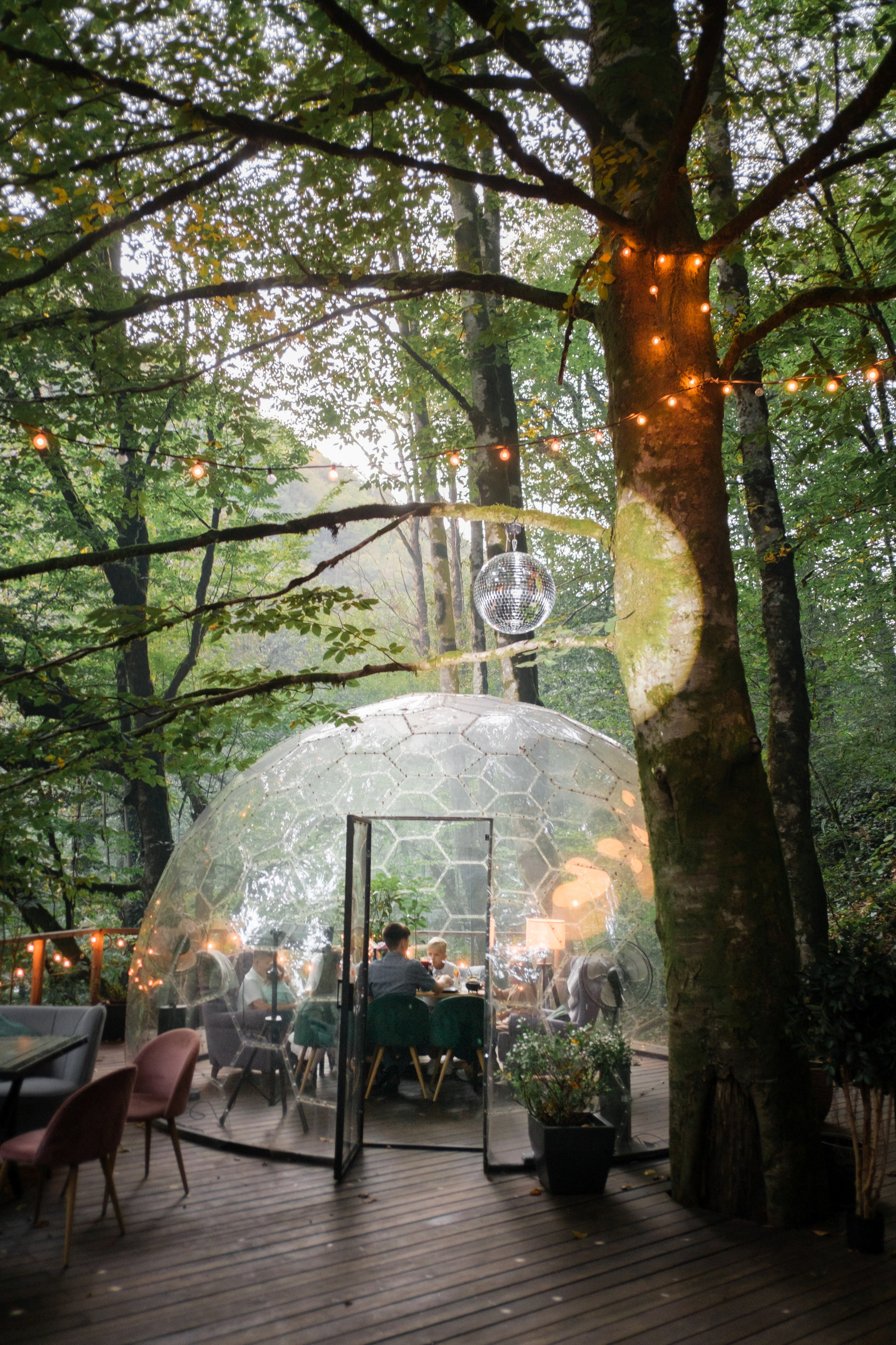 Кот и Дракон. Свадебный Видеограф Фотограф в Сочи