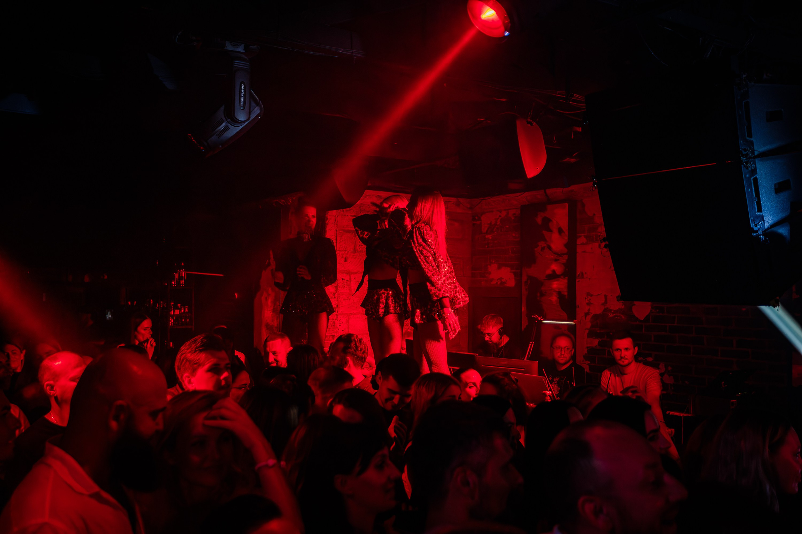 «Джиган"_Чайка на пляже_Ялта_12.07.2025 г. Аминов Руслан | Фотограф