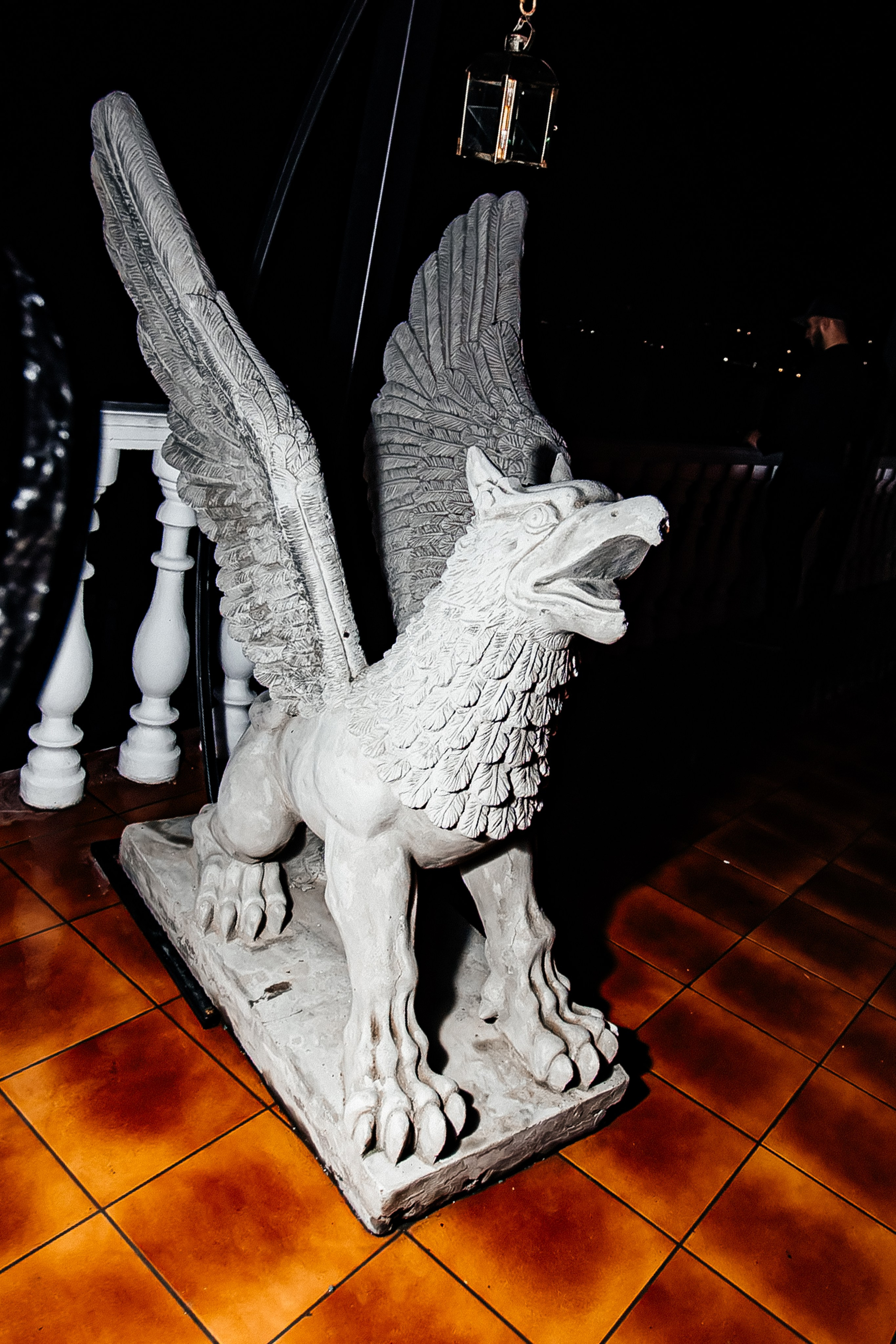 Чайка_на_пляже_Ялта_25.07.2024. Аминов Руслан | Фотограф