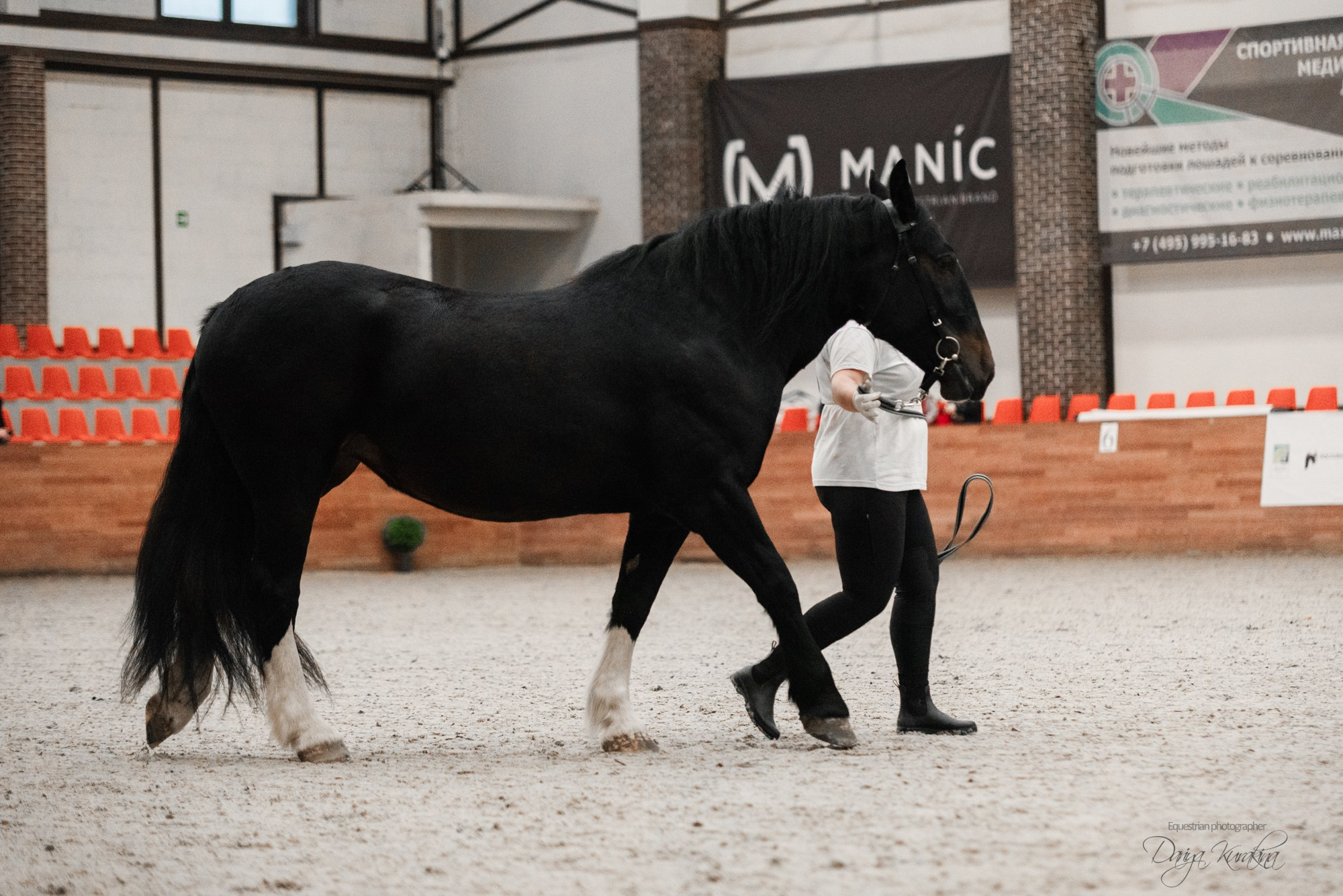 8-я международная выставка Конная Россия. Конный фотограф Куракина Дарья • Фотосессии с лошадьми