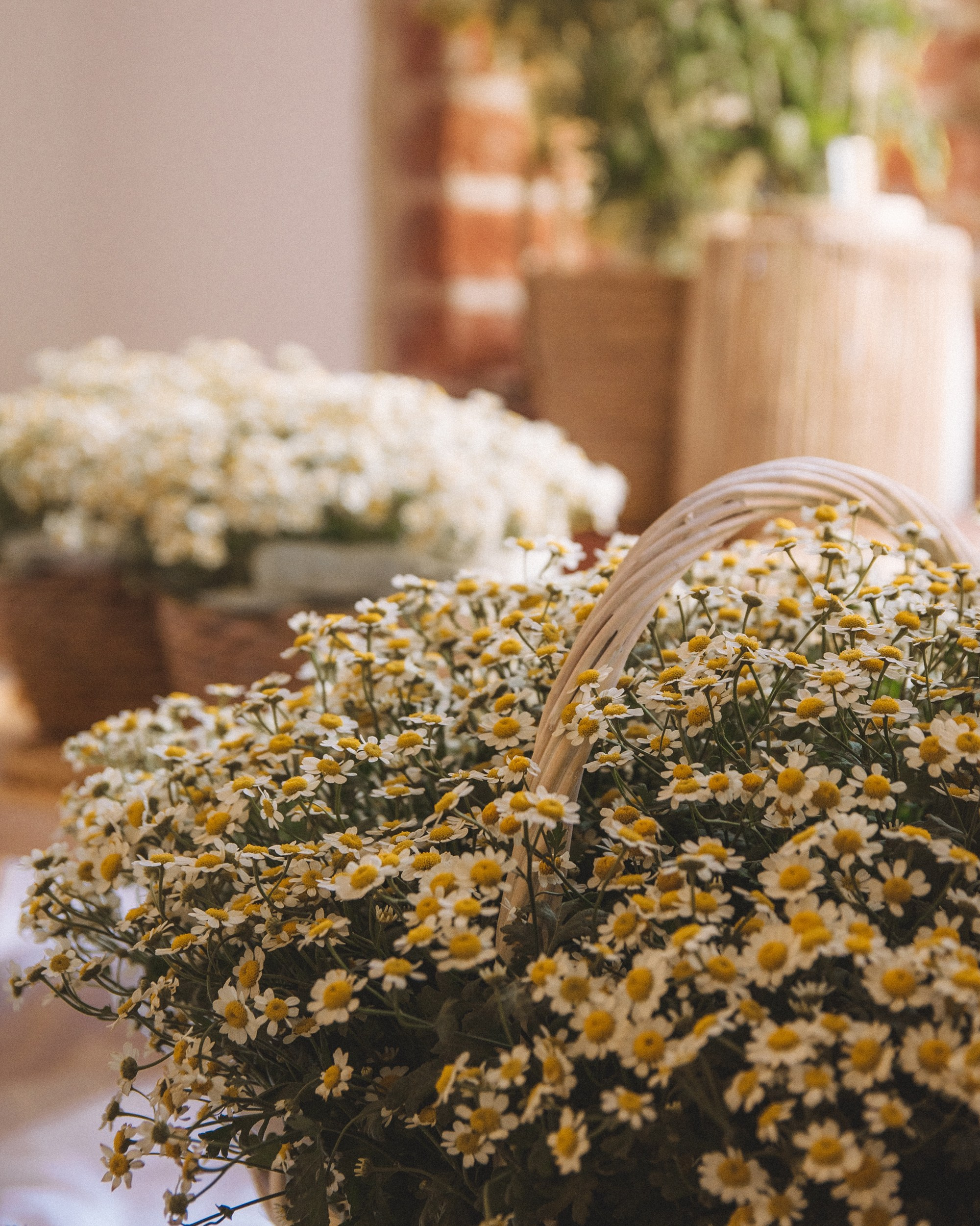 Семья Станислава и Елены. Фотограф Новочеркасск Ольга Мальцева