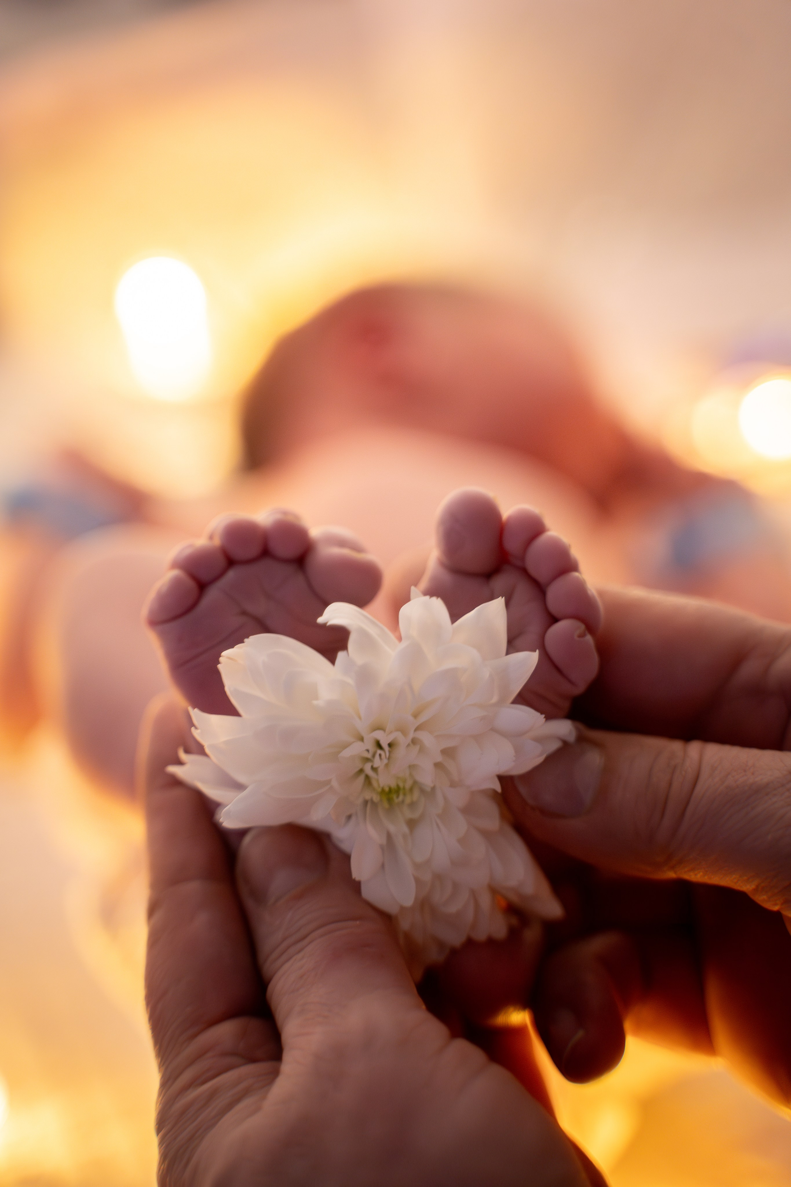 Давид. Фотограф на роды Москва Ольга Летучева