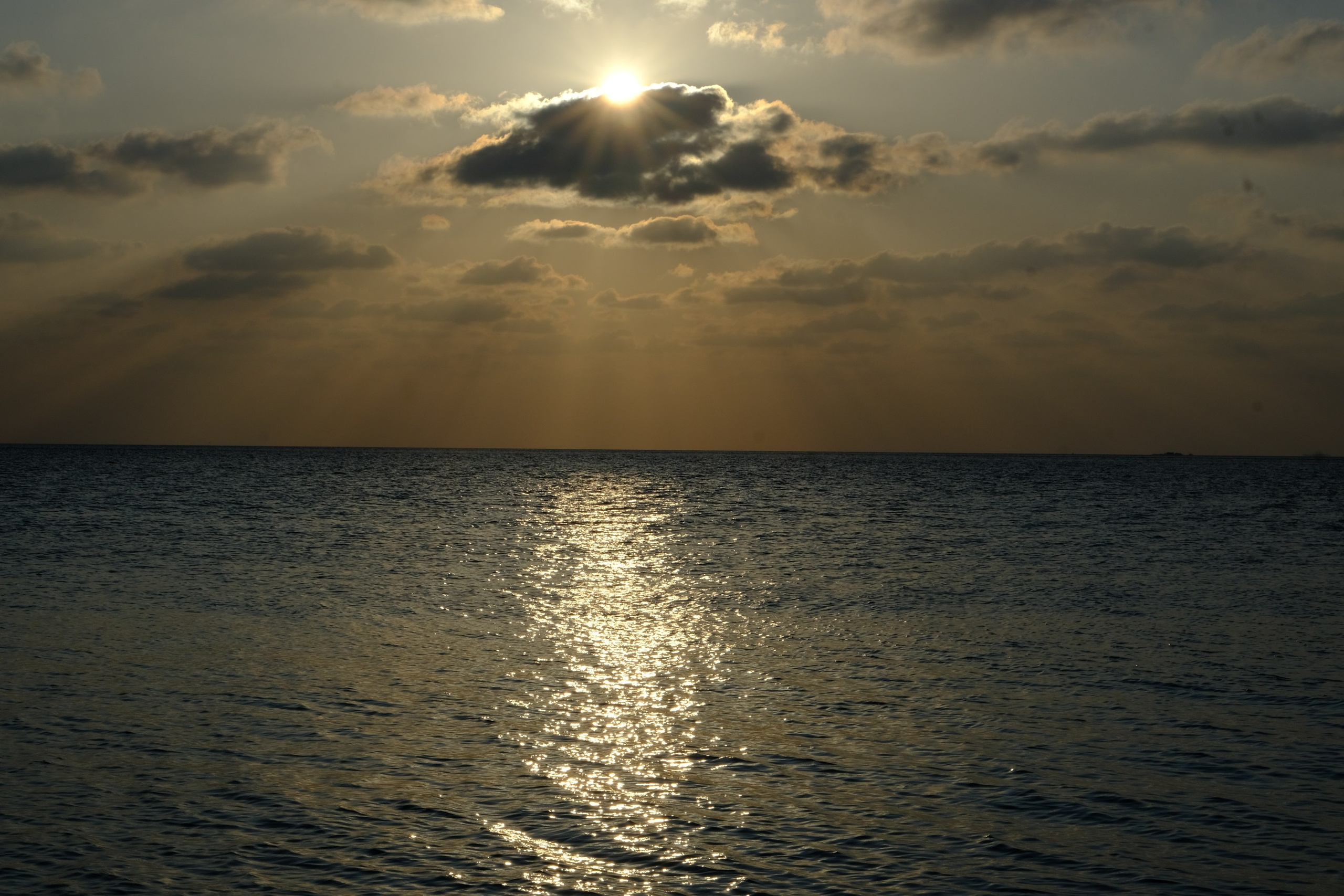 Фотограф Мельник Ирина. Москва