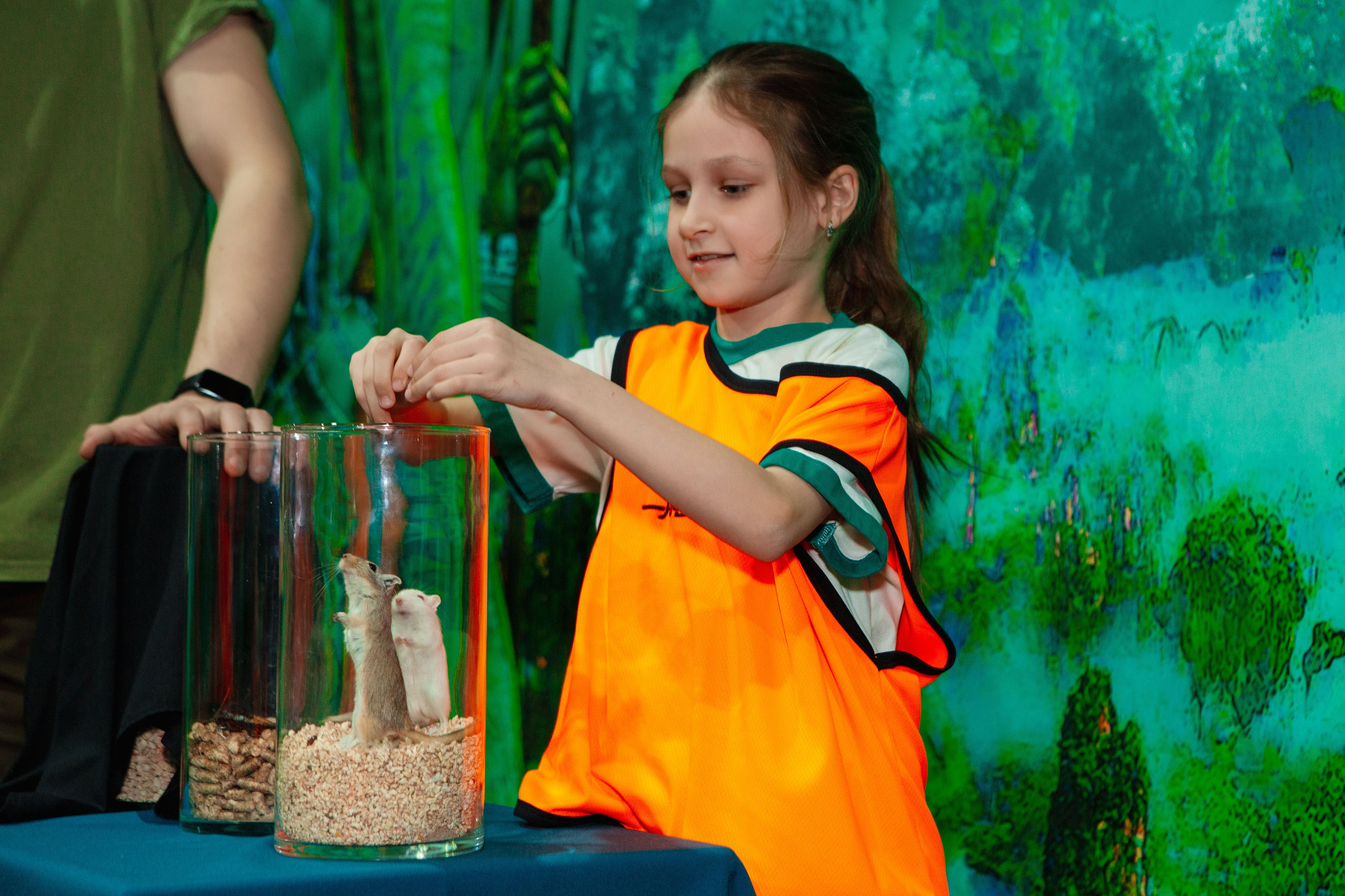 День рождения в Аватаре. Фотограф в Красноярске по выгодной цене