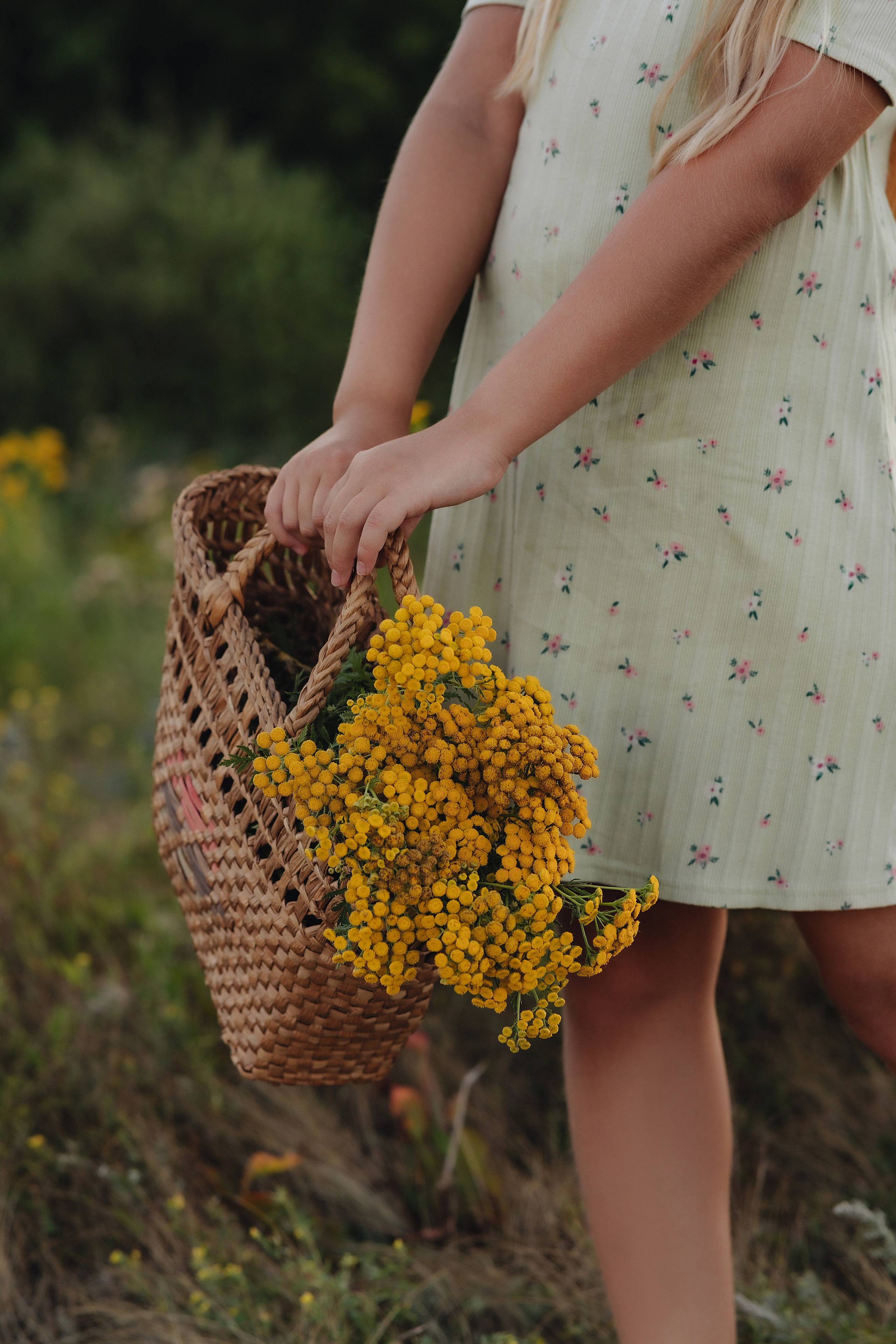 Семейная съемка на закате. Фотограф Карина Шмулёва. Воронеж и область