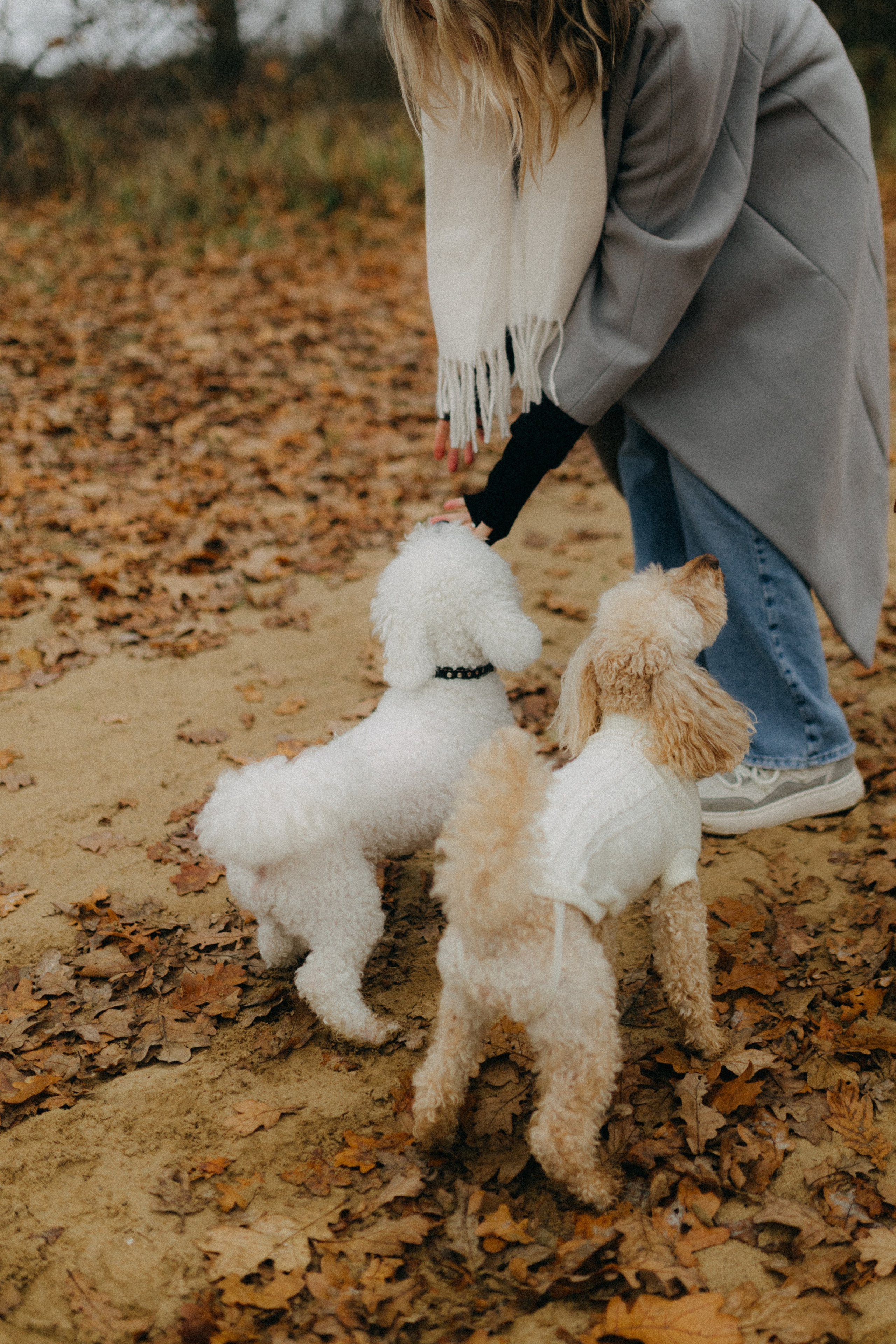 Лена & Миша. Фотограф НОГИНСК, Москва, Анастасия Белая