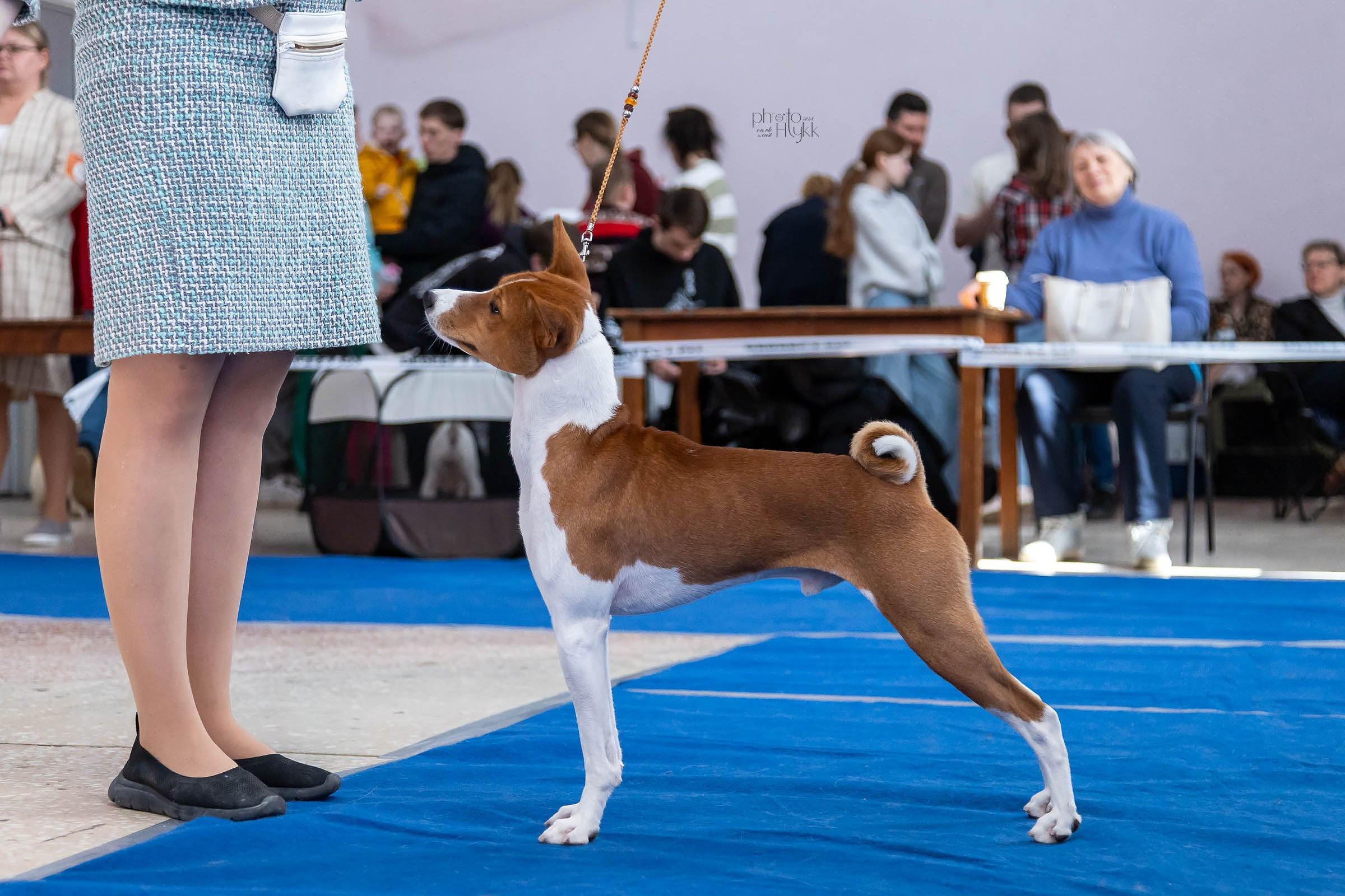 29 апреля 2024, Выставка РКФ, г. Пермь. Htykk_photo