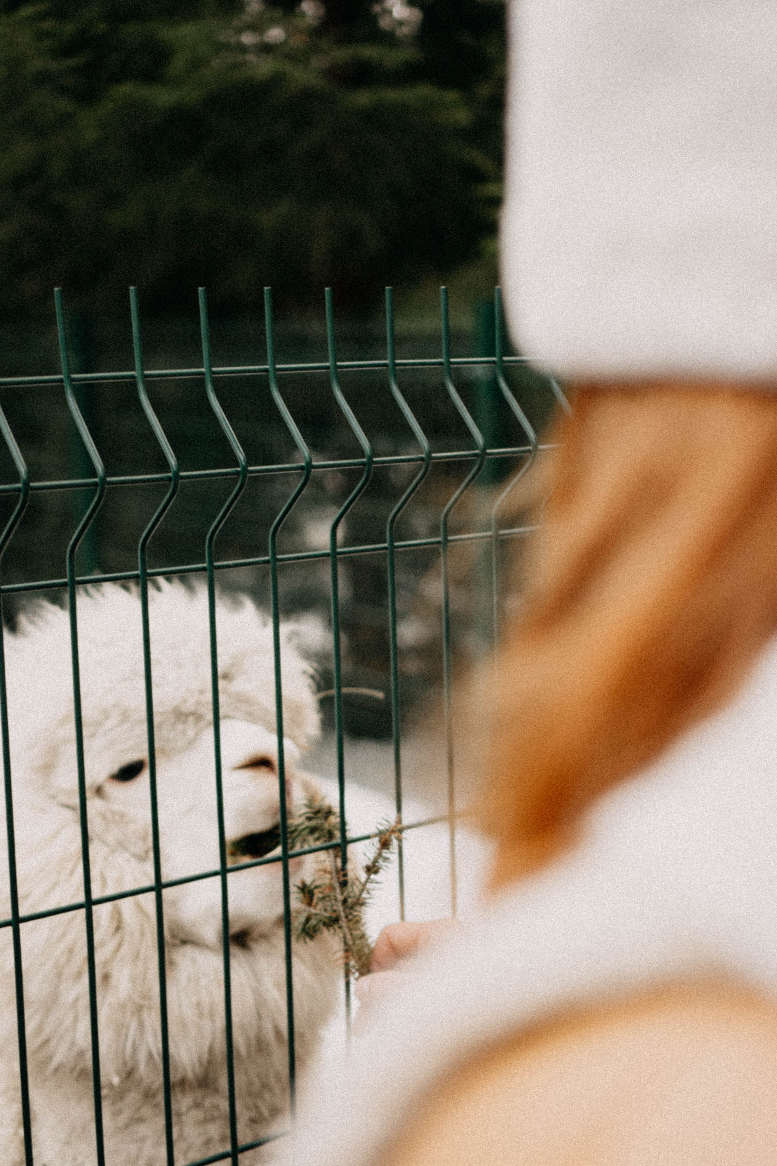 Каток. Профессиональный фотограф, Санкт-Петербург — Виктория Богомолова