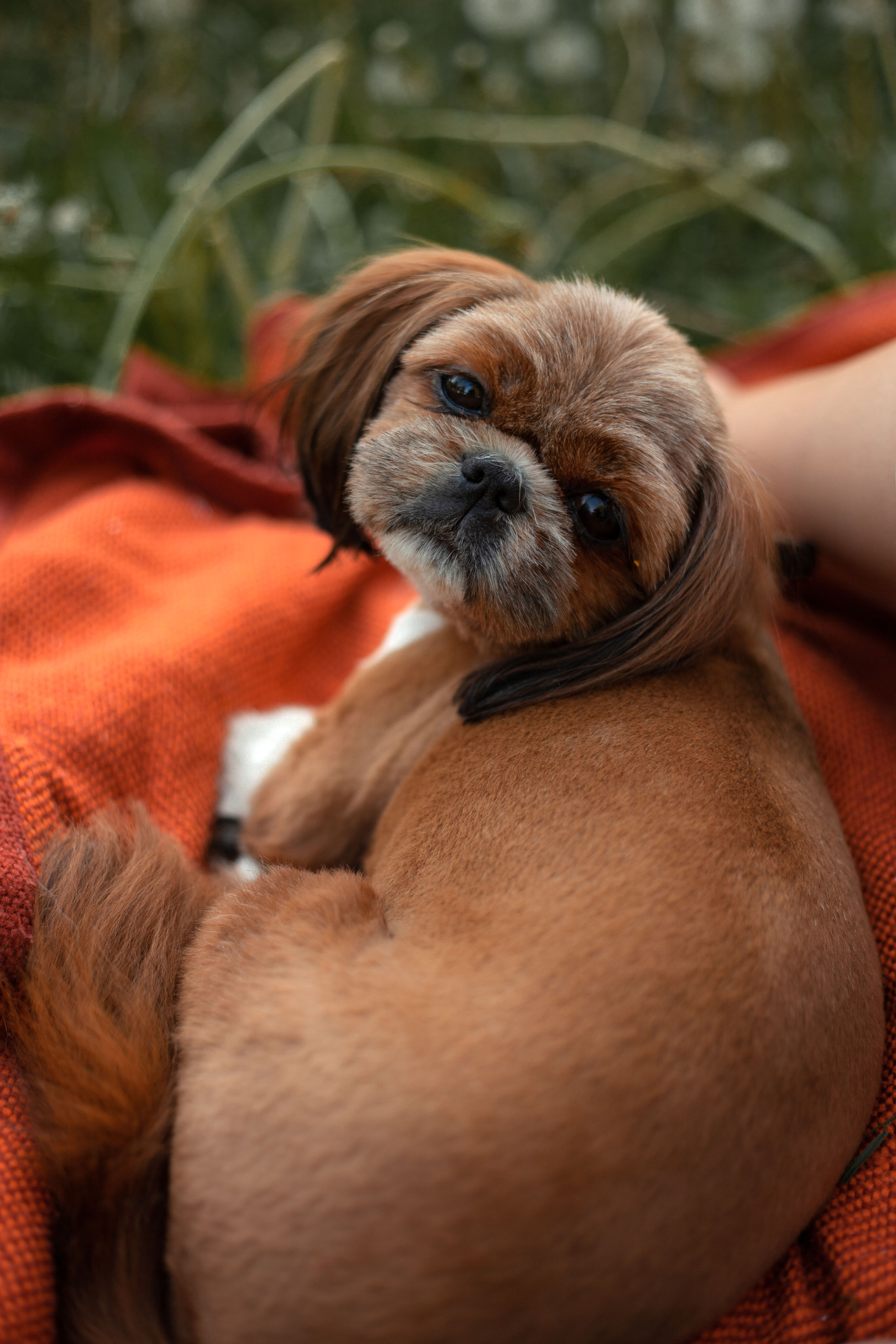 Мама и взрослая дочь. Фотограф видеограф Ольга Василевская