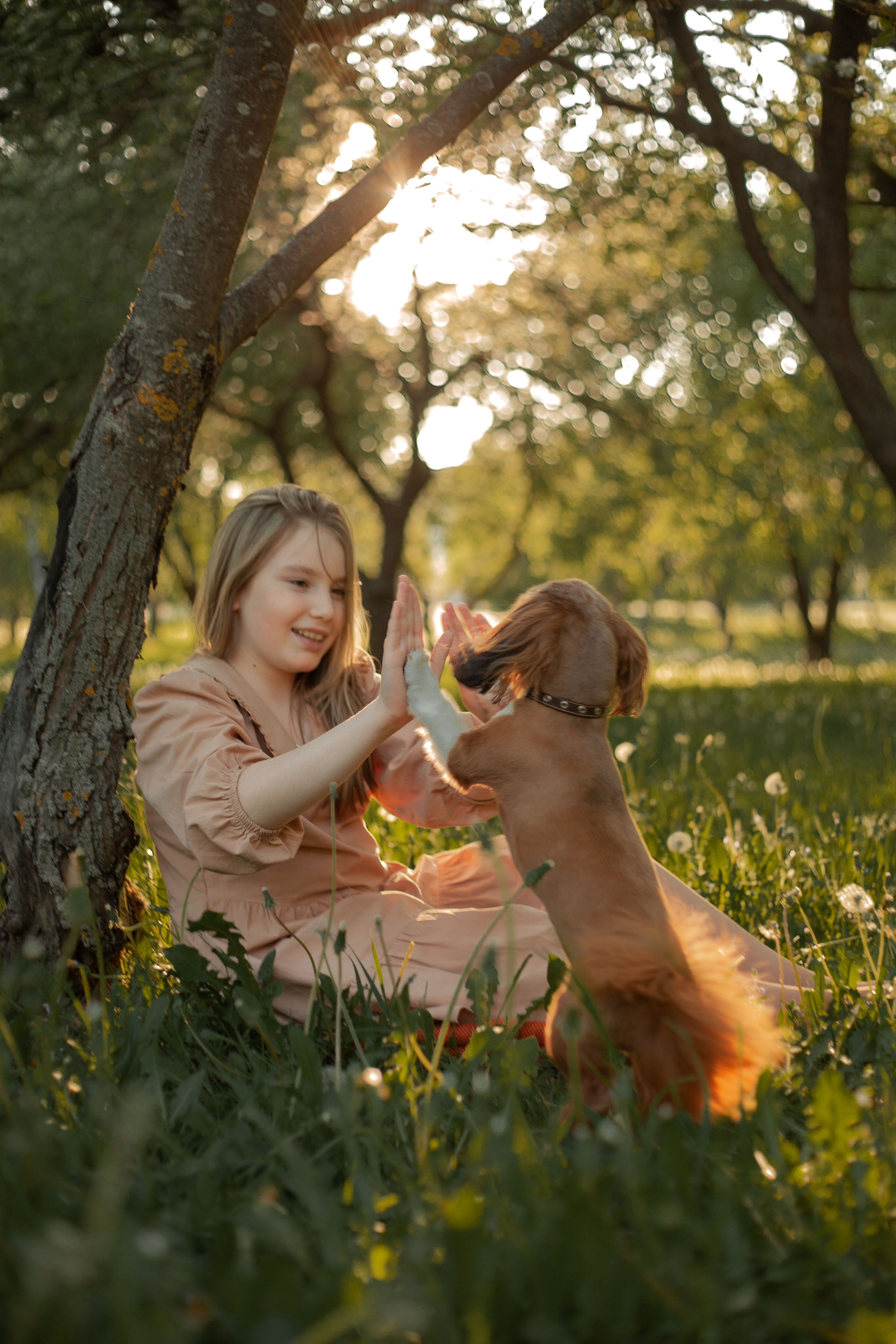 Мама и взрослая дочь. Фотограф видеограф Ольга Василевская