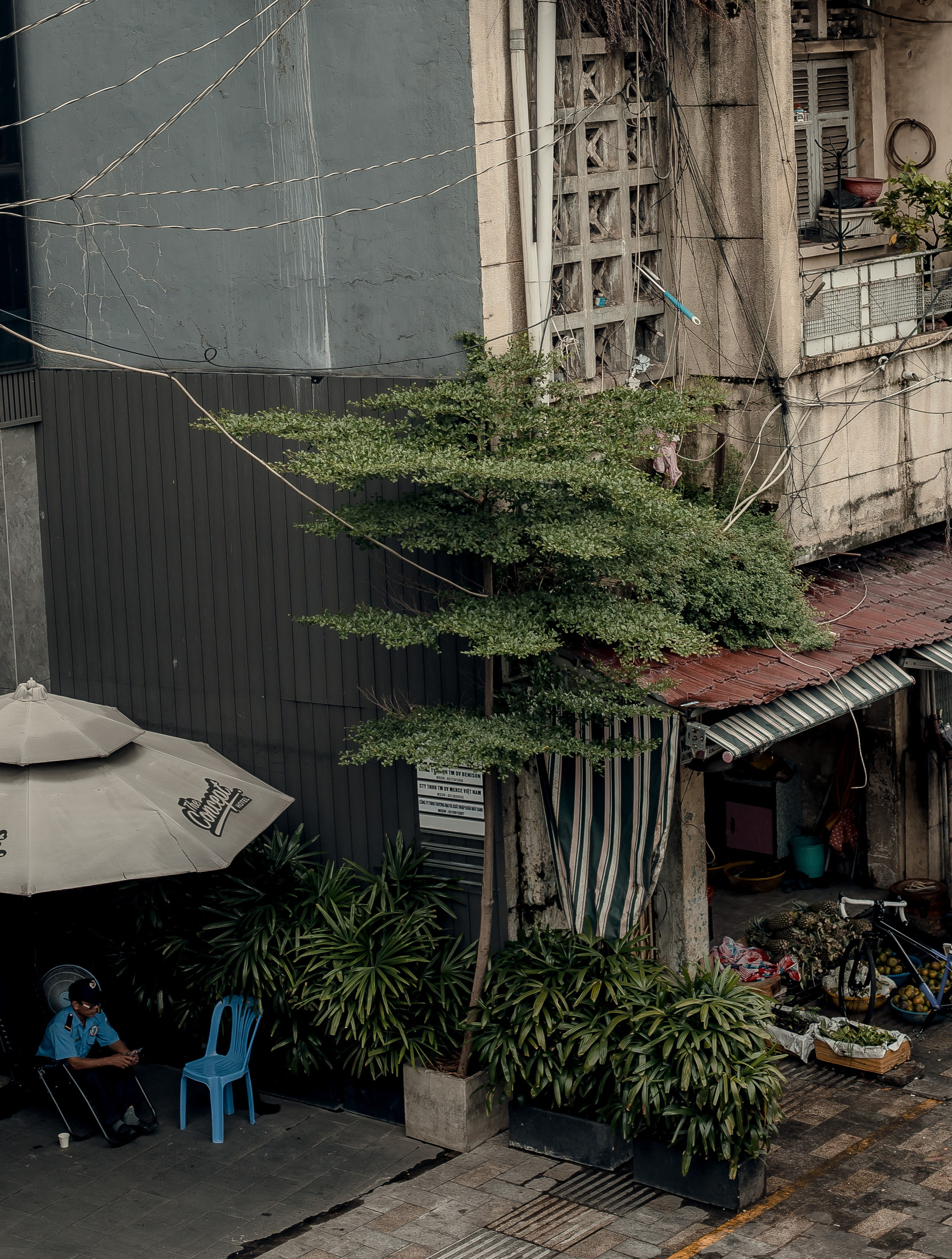 Ho Chi Minh, Vietnam | Part 1| 2025. Art Photographer