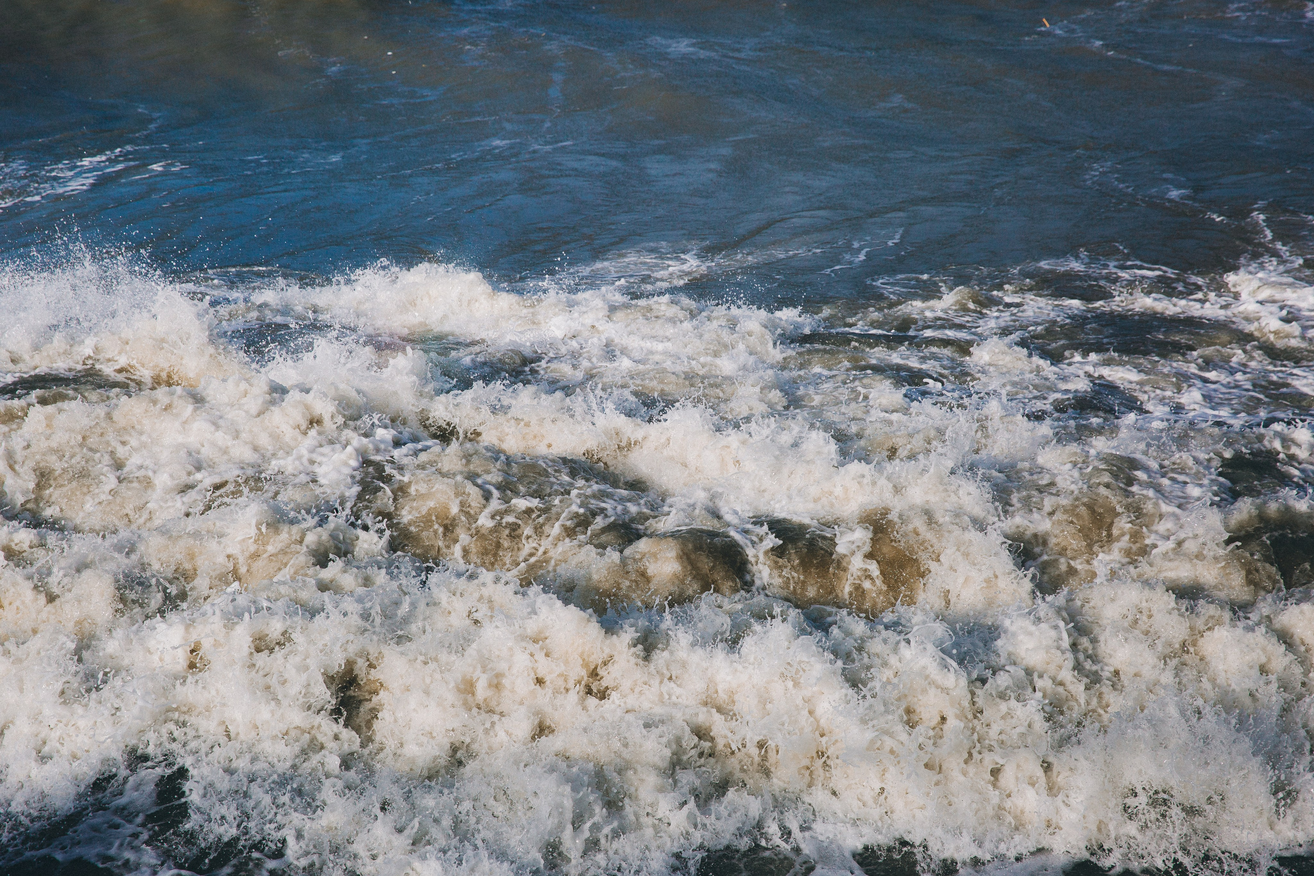 Море + ветер + чайки = Балтика. Фотограф Зеленоградск Красильникова Елена