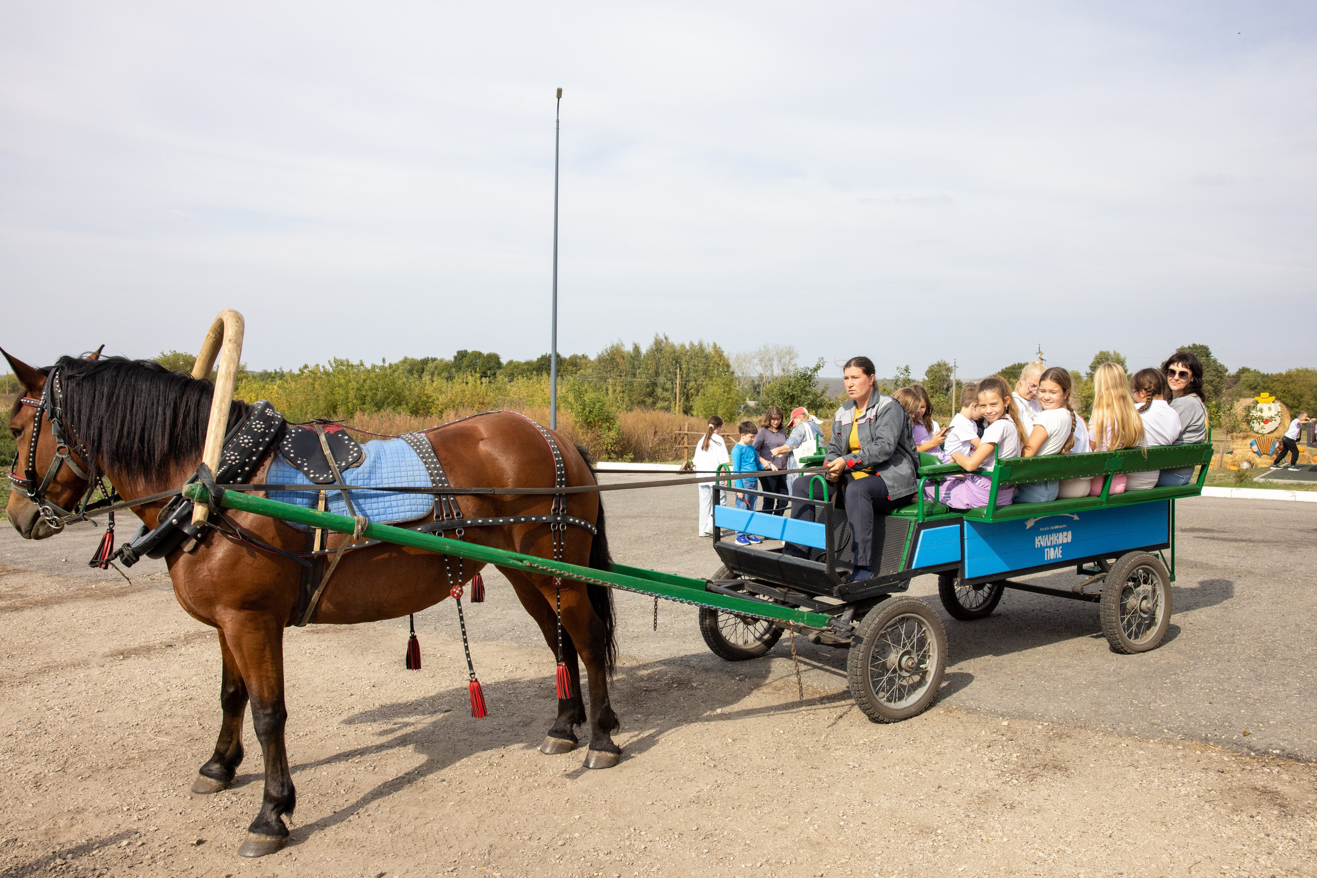 Поездка на поле Кулеково. Фотограф в Туле Крупский АнДРей. Фотостудия «КАДР71» в Туле