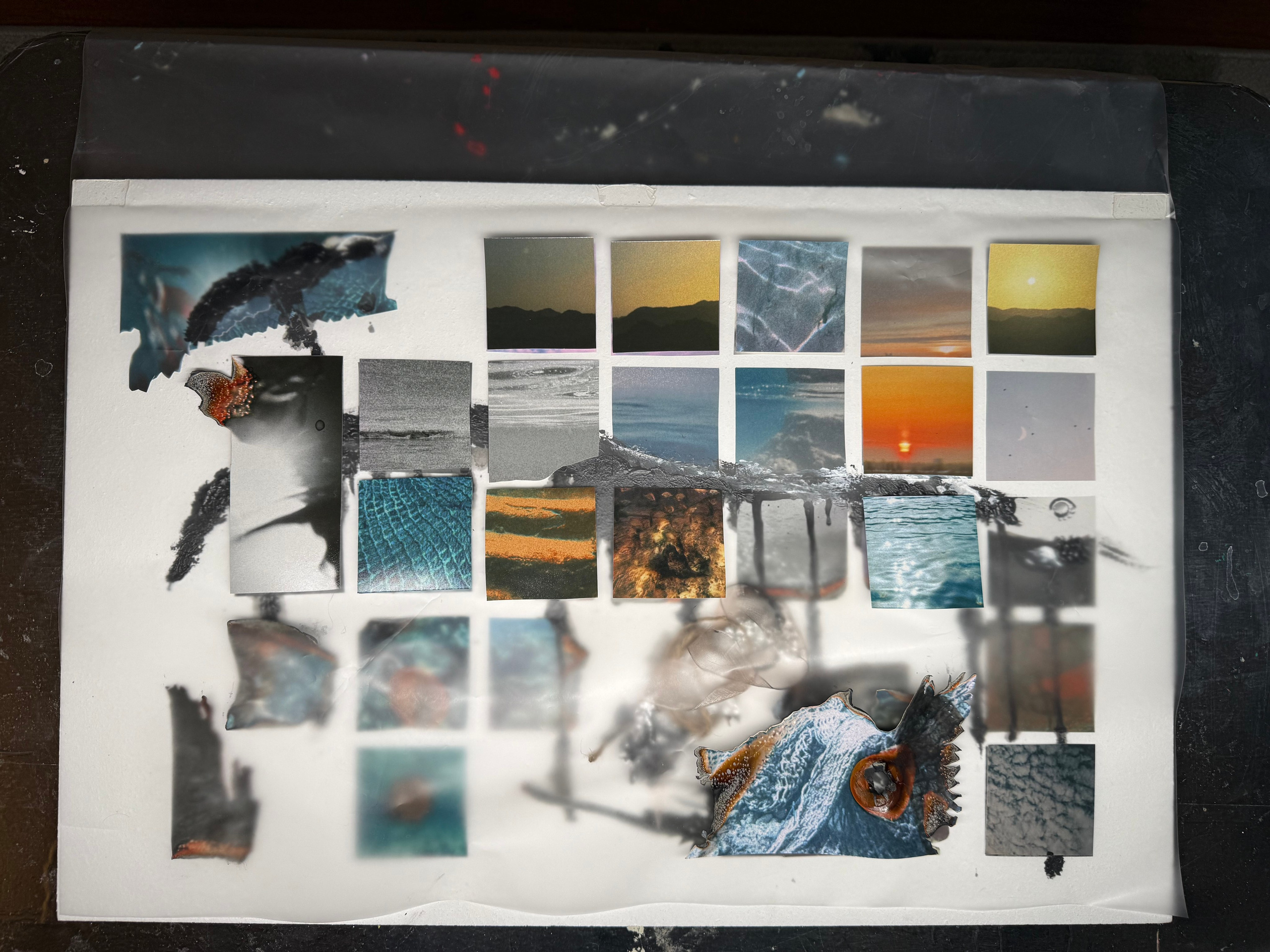 BUY ARTWORKS. Lysi Timofeeva