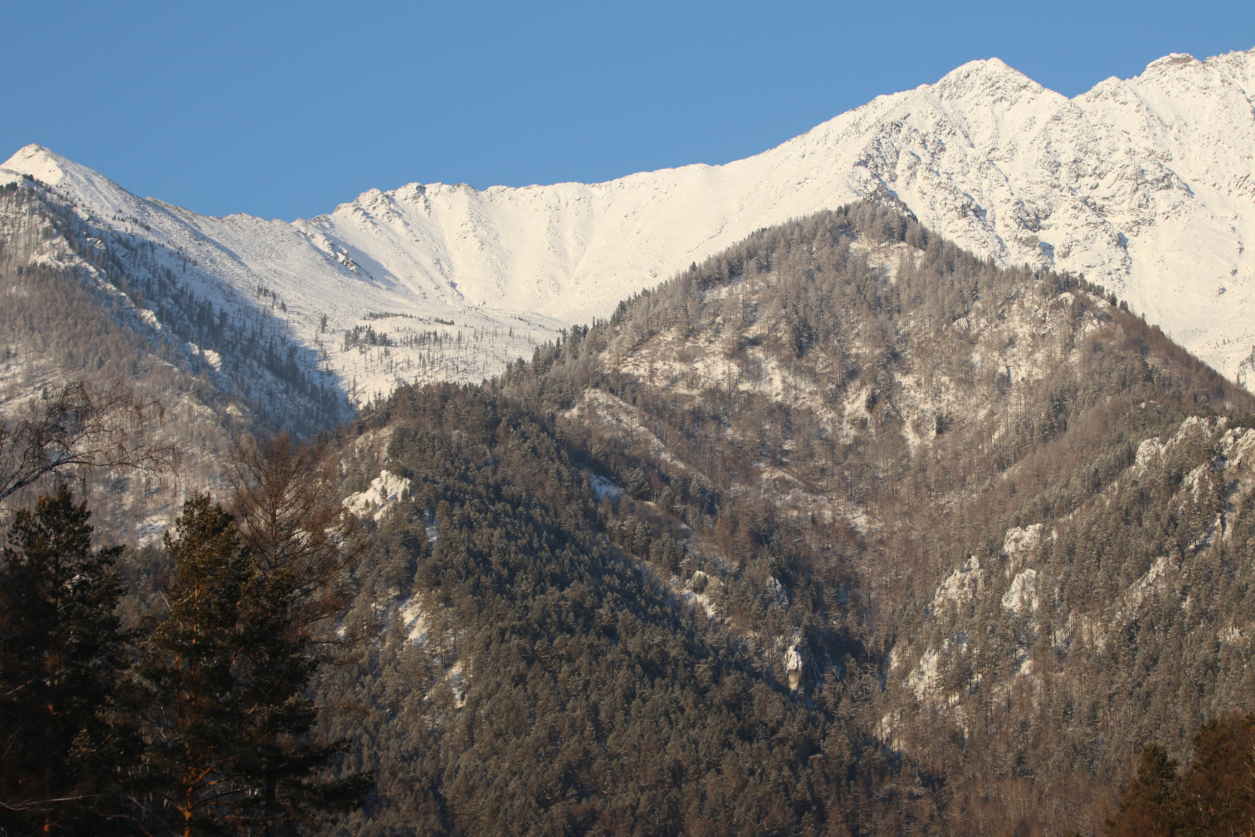 Аршан. Январь 2024. Путешественник-фотограф из Санкт-Петербурга Татьяна Свистулина