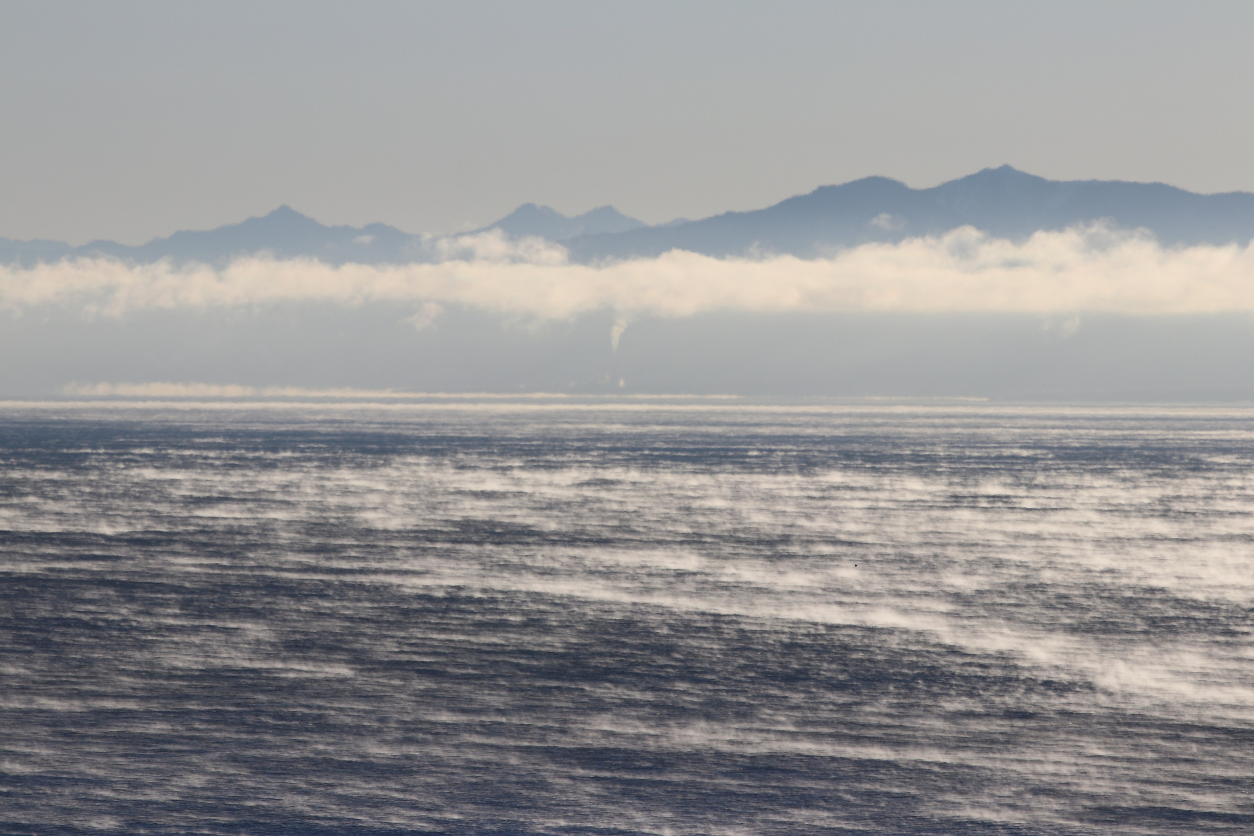 Аршан. Январь 2022. Путешественник-фотограф из Санкт-Петербурга Татьяна Свистулина