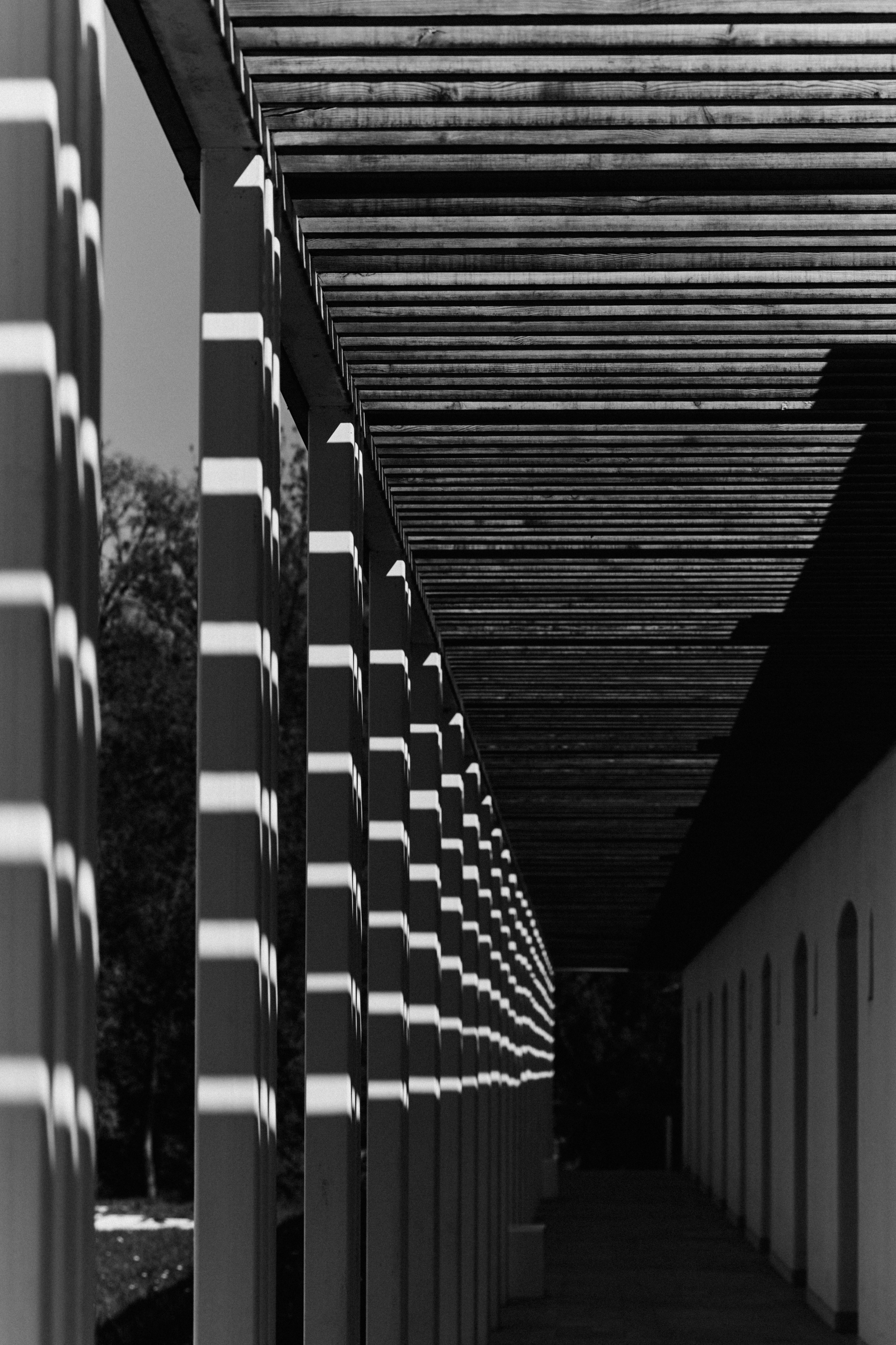 BAON x Кудыкина Гора. Фотограф Сурков Никита