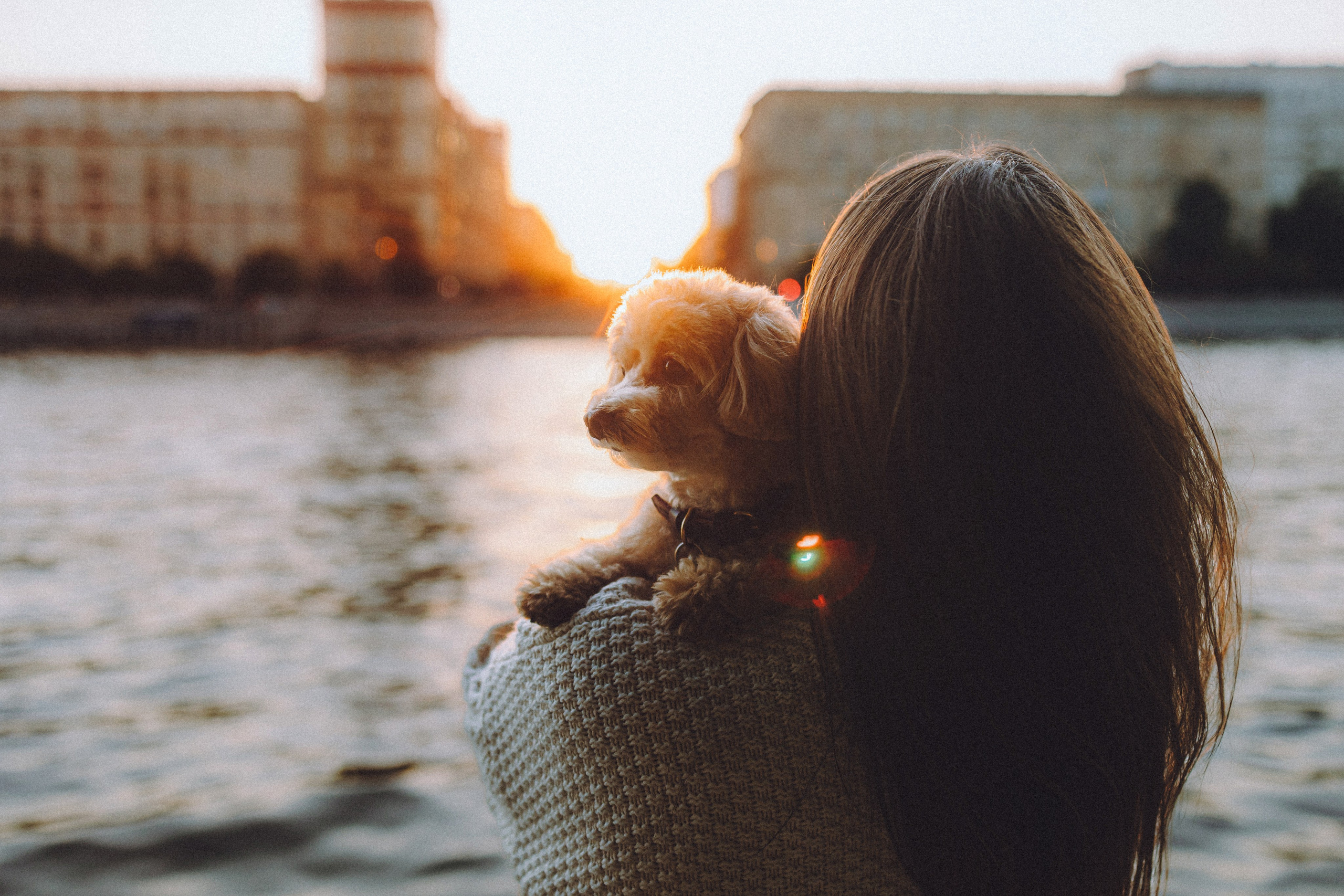 Настя и Симба