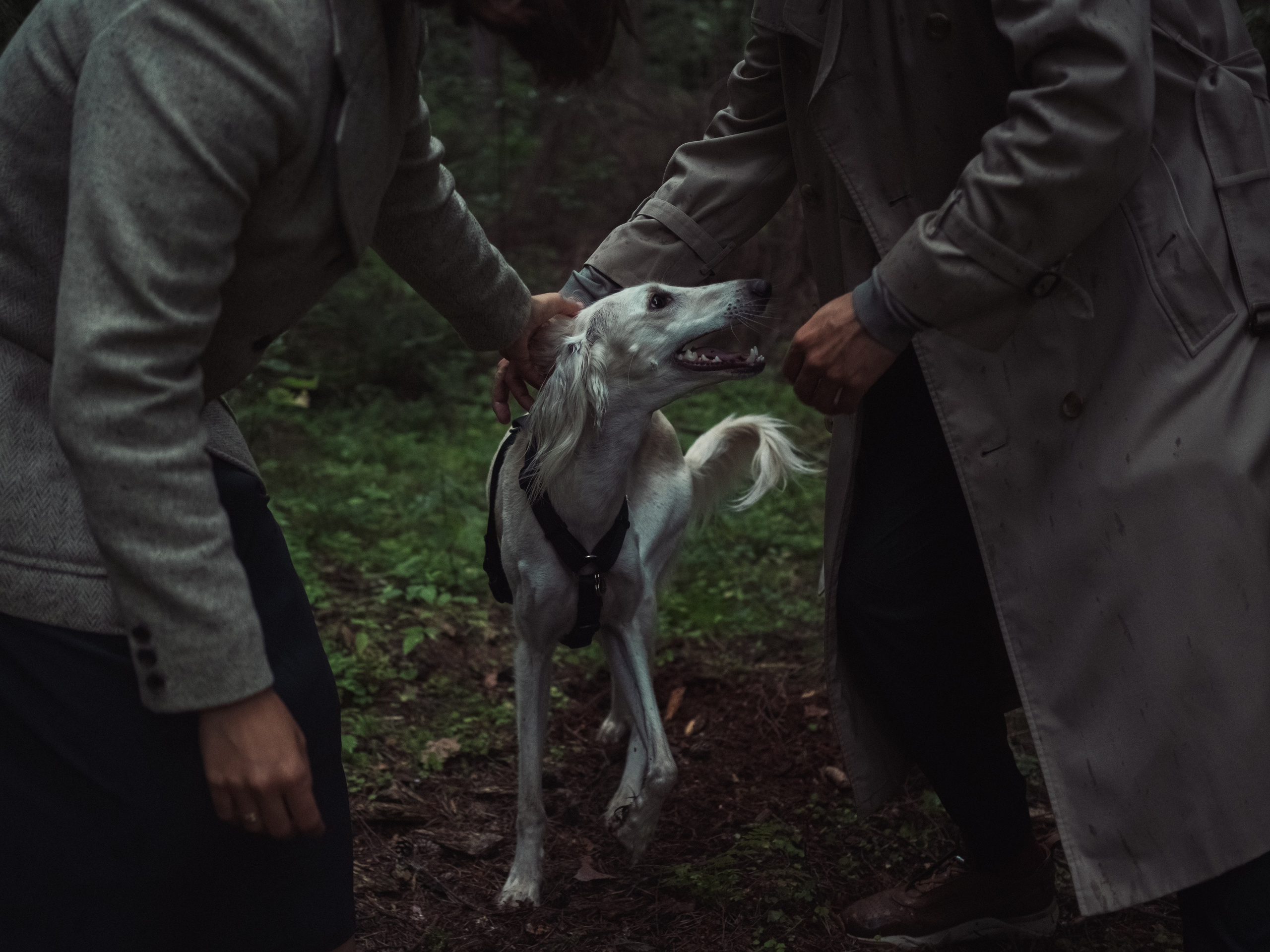 БОРН. Фотограф в Санкт-Петербурге Эллис