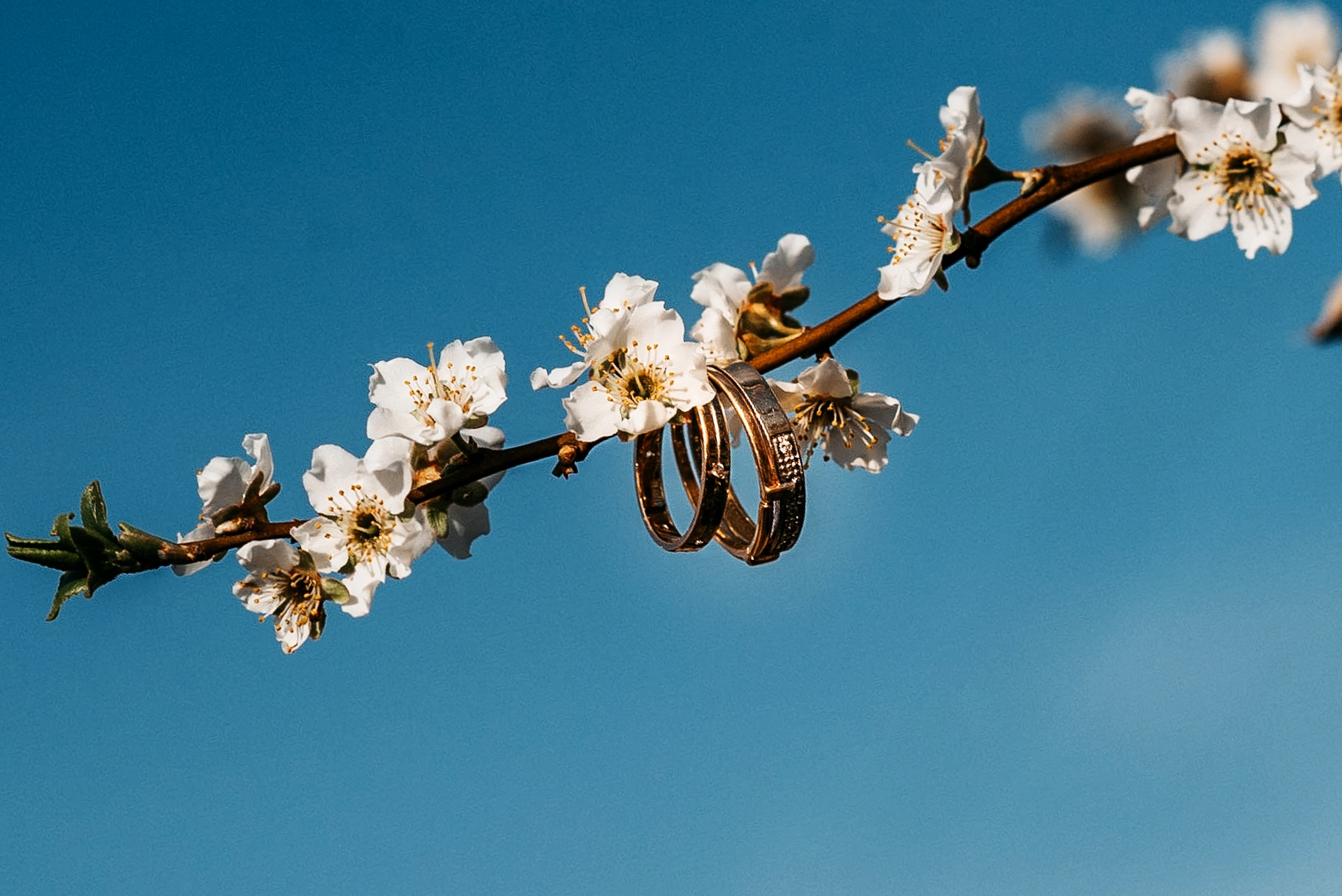 Олег и Юлия. Свадебный и семейный фотограф в Краснодаре