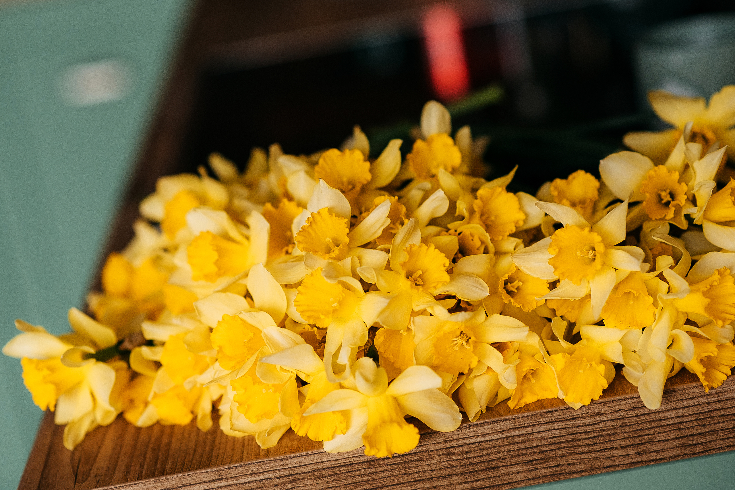 Весенняя фотосессия. Свадебный и семейный фотограф в Краснодаре