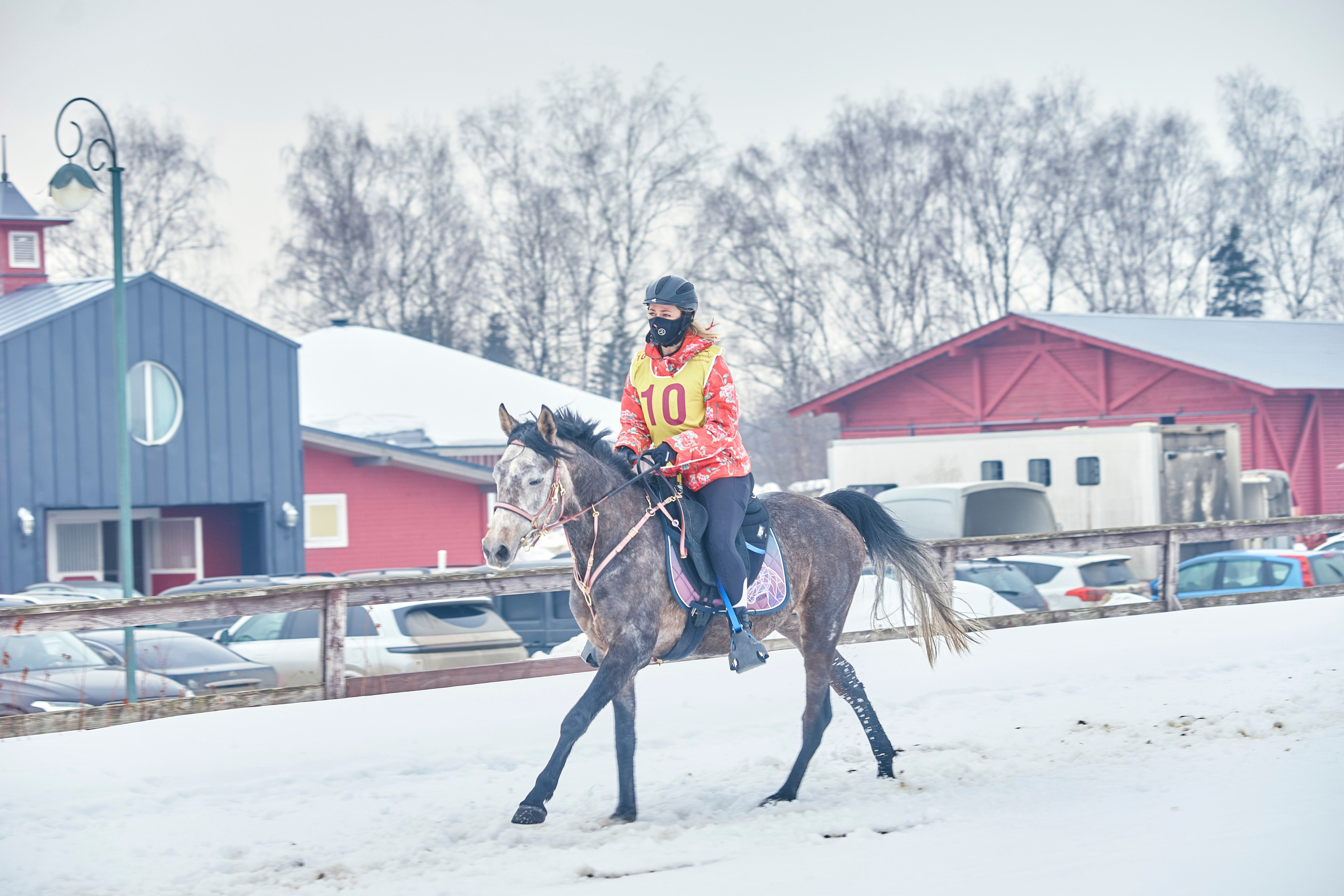 HORSE RACING. Фотограф Наталья Леонова