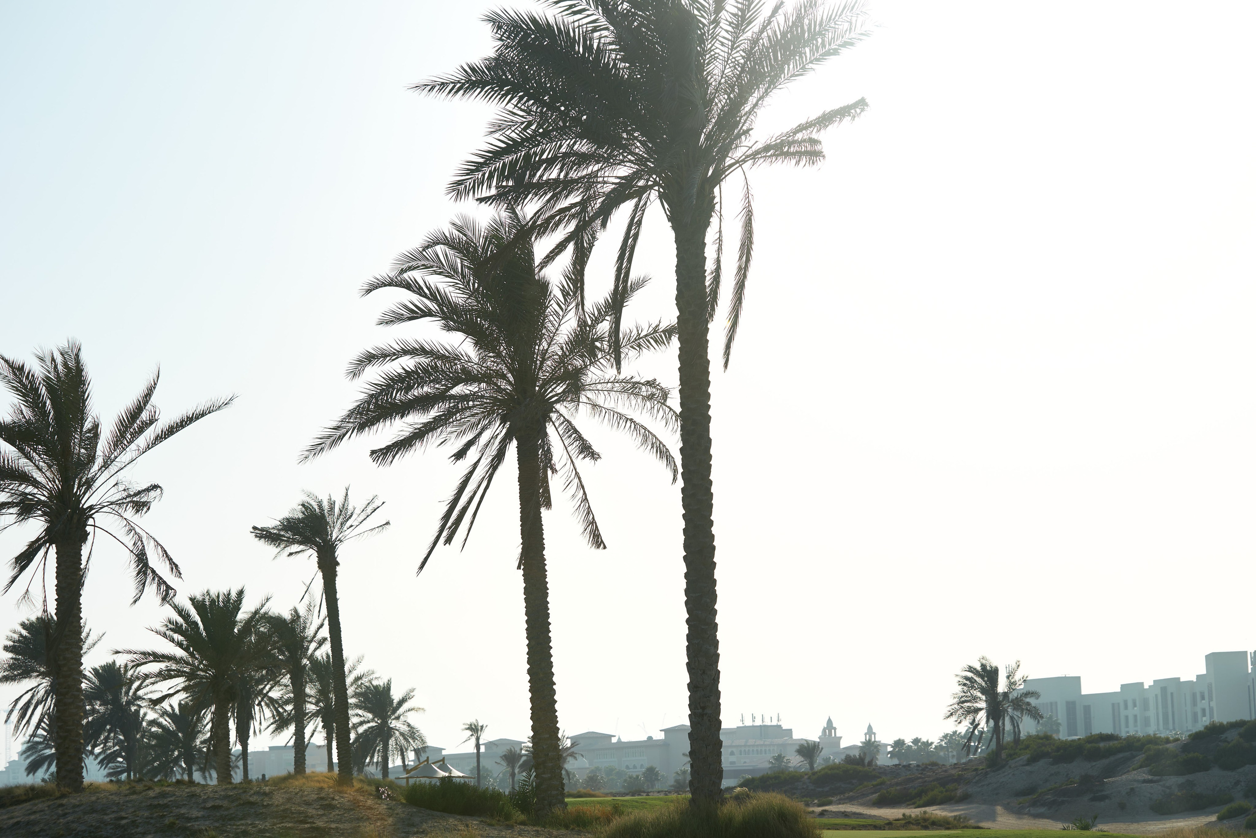 UAE GOLF. Фотограф Наталья Леонова