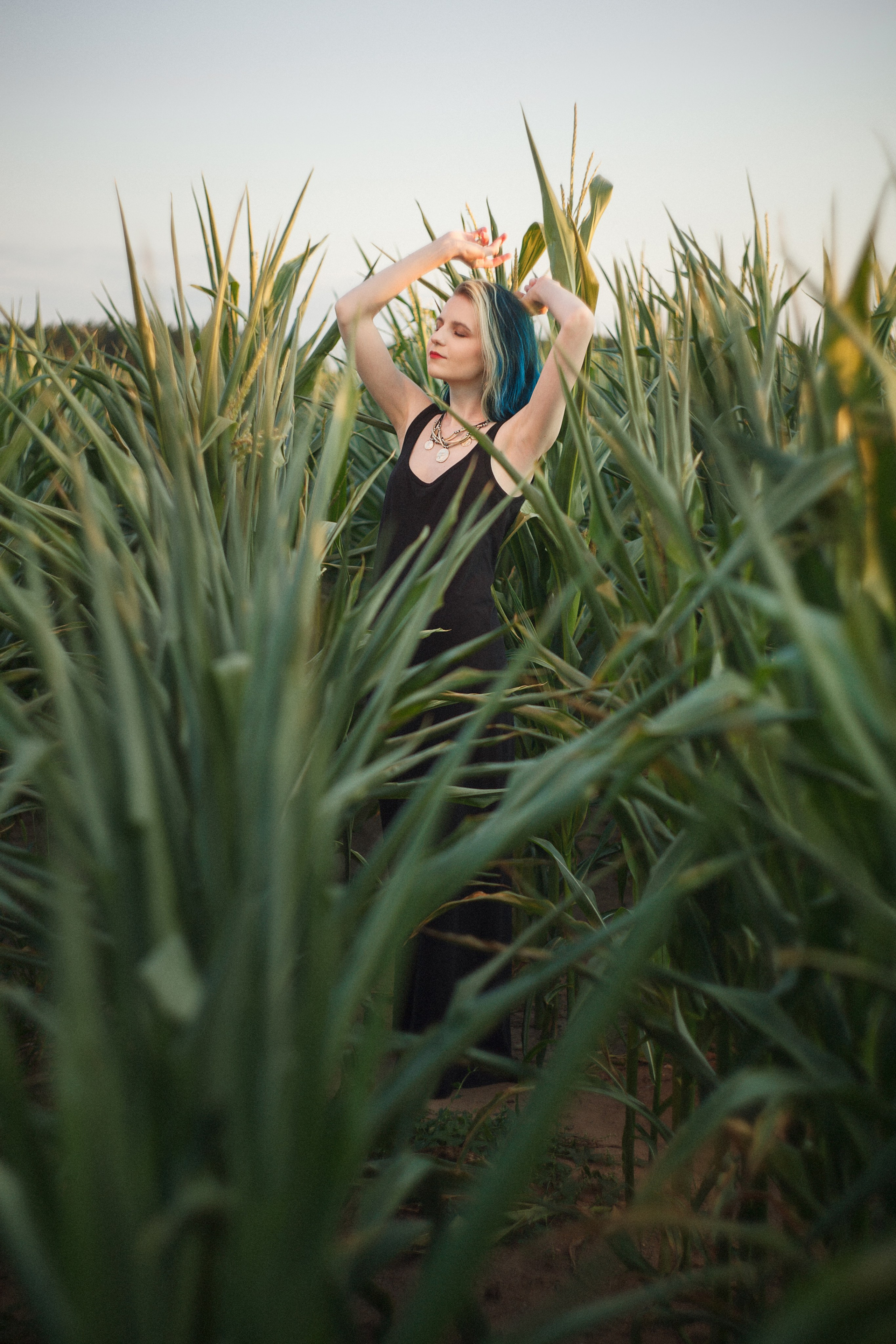 В кукурузе…. Стас Никоненко • Кинооператор • Фотограф