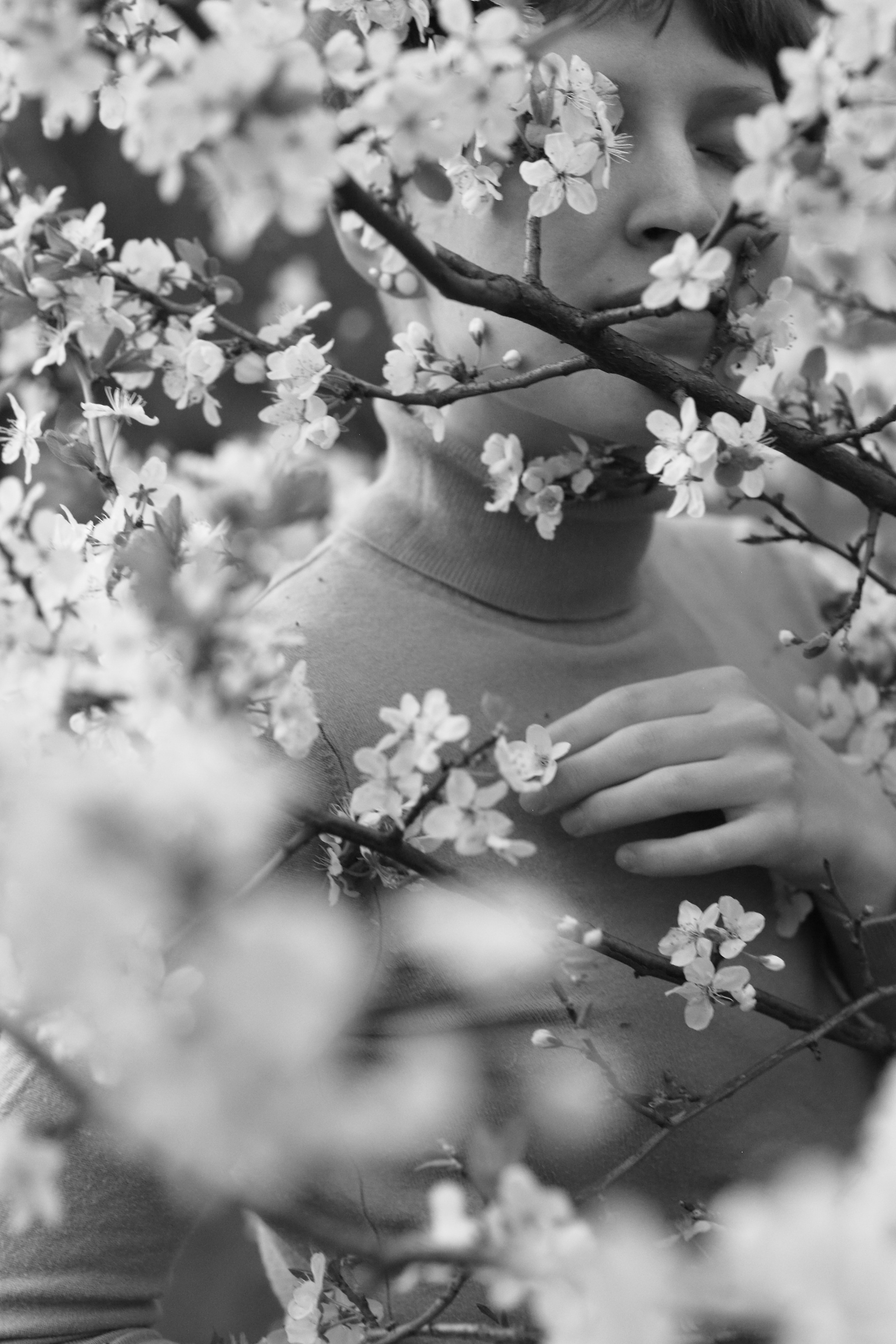 Девушка в цветущей сливе. Свадебный и репортажный фотограф в Ярославле и Санкт-Петербурге Роман Микрюков