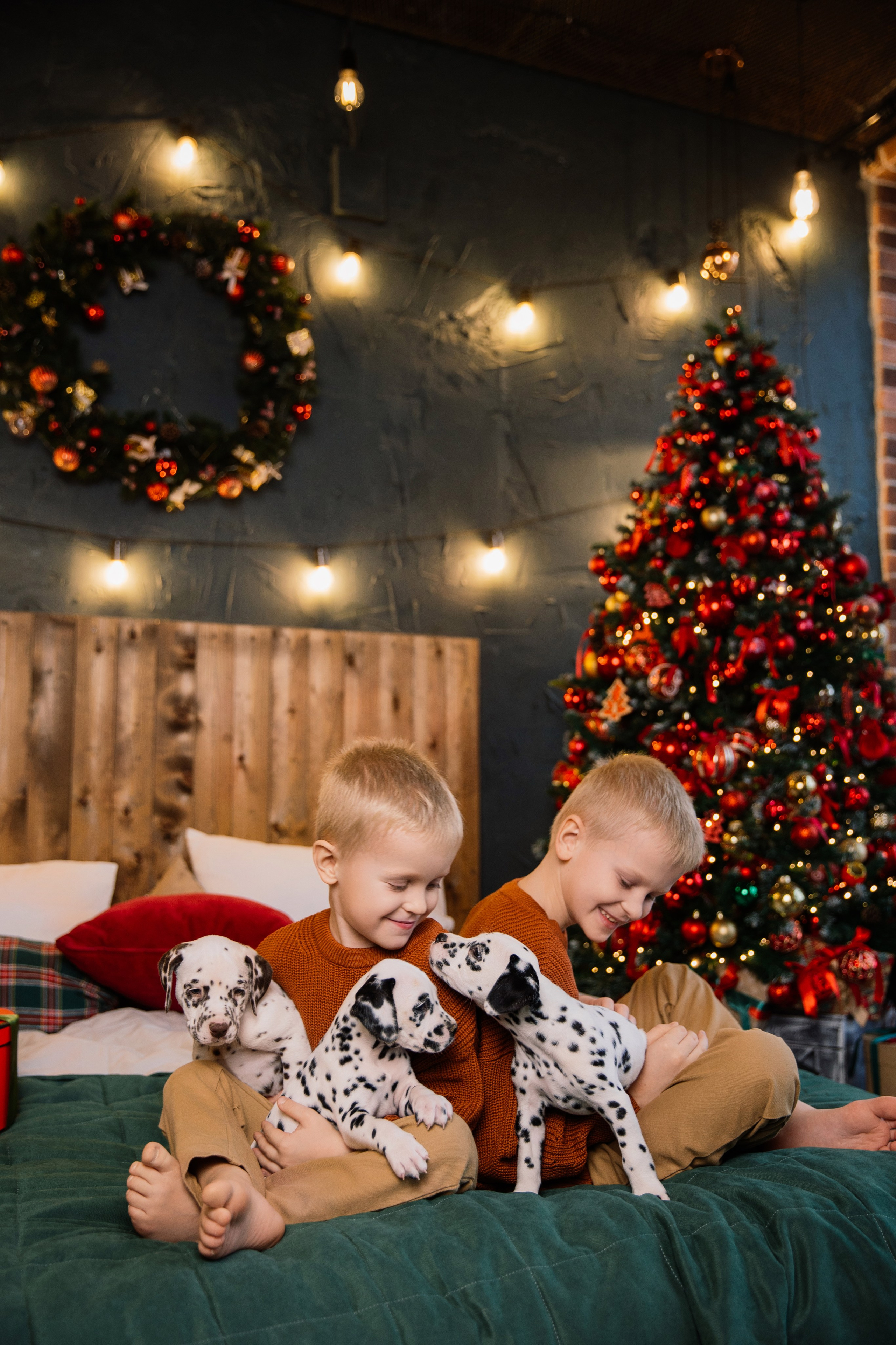 Саша и Рома. Семейный фотограф Толстикова Кристина