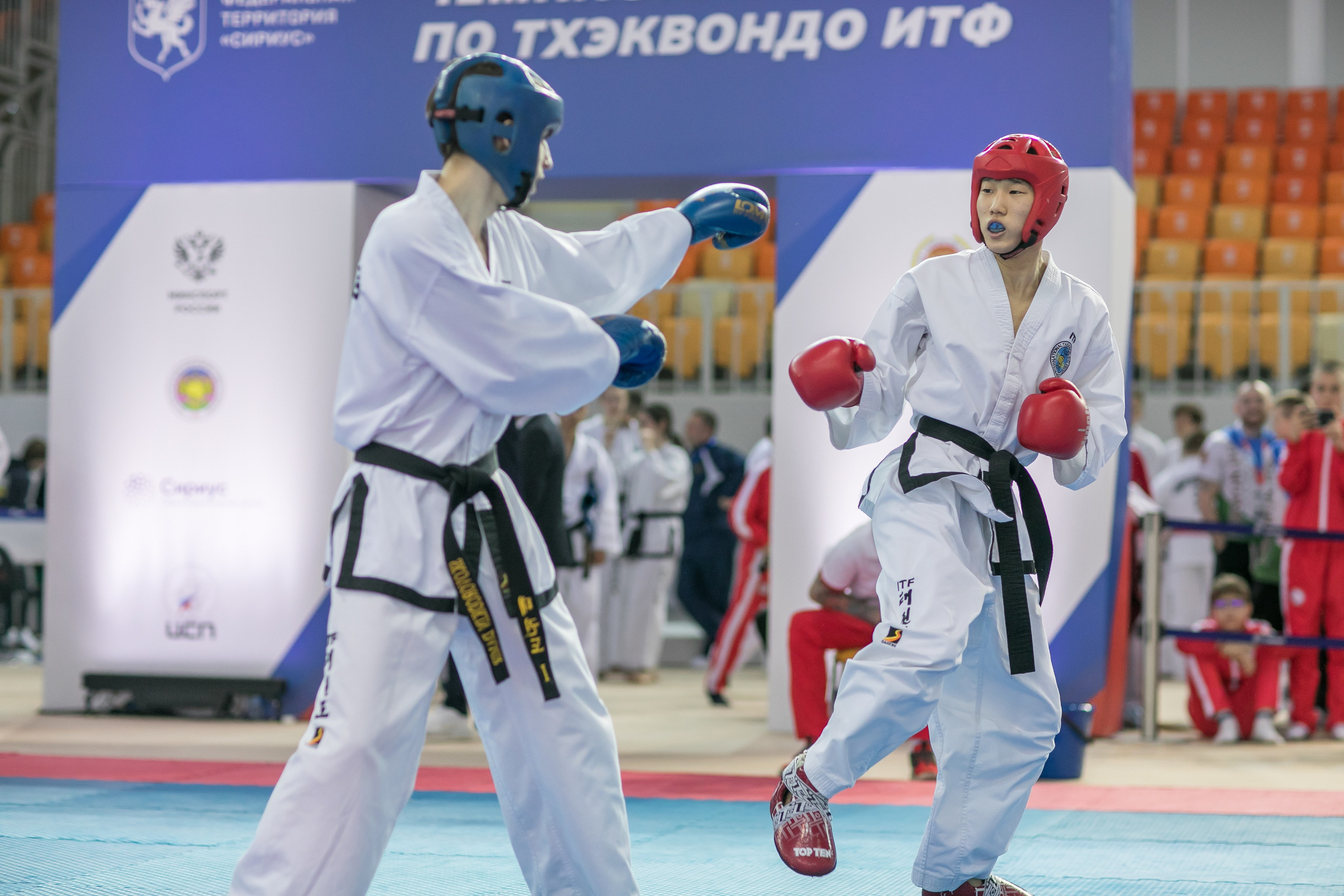 Тхэквондо. Фотограф в Сочи, Краснодаре и Ростове на Дону