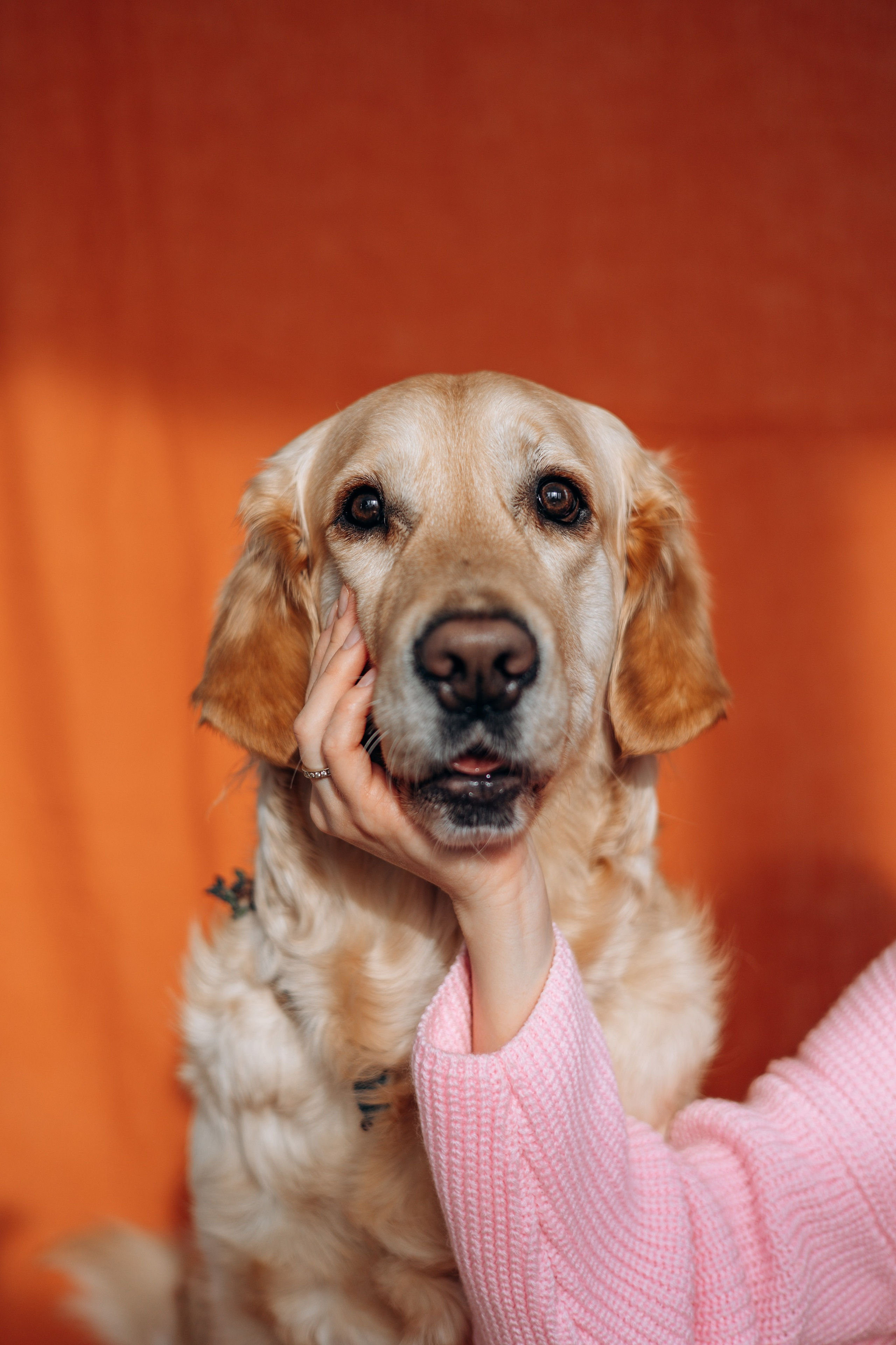 Марина и Чили. Фотограф — Анималист | Санкт-Петербург