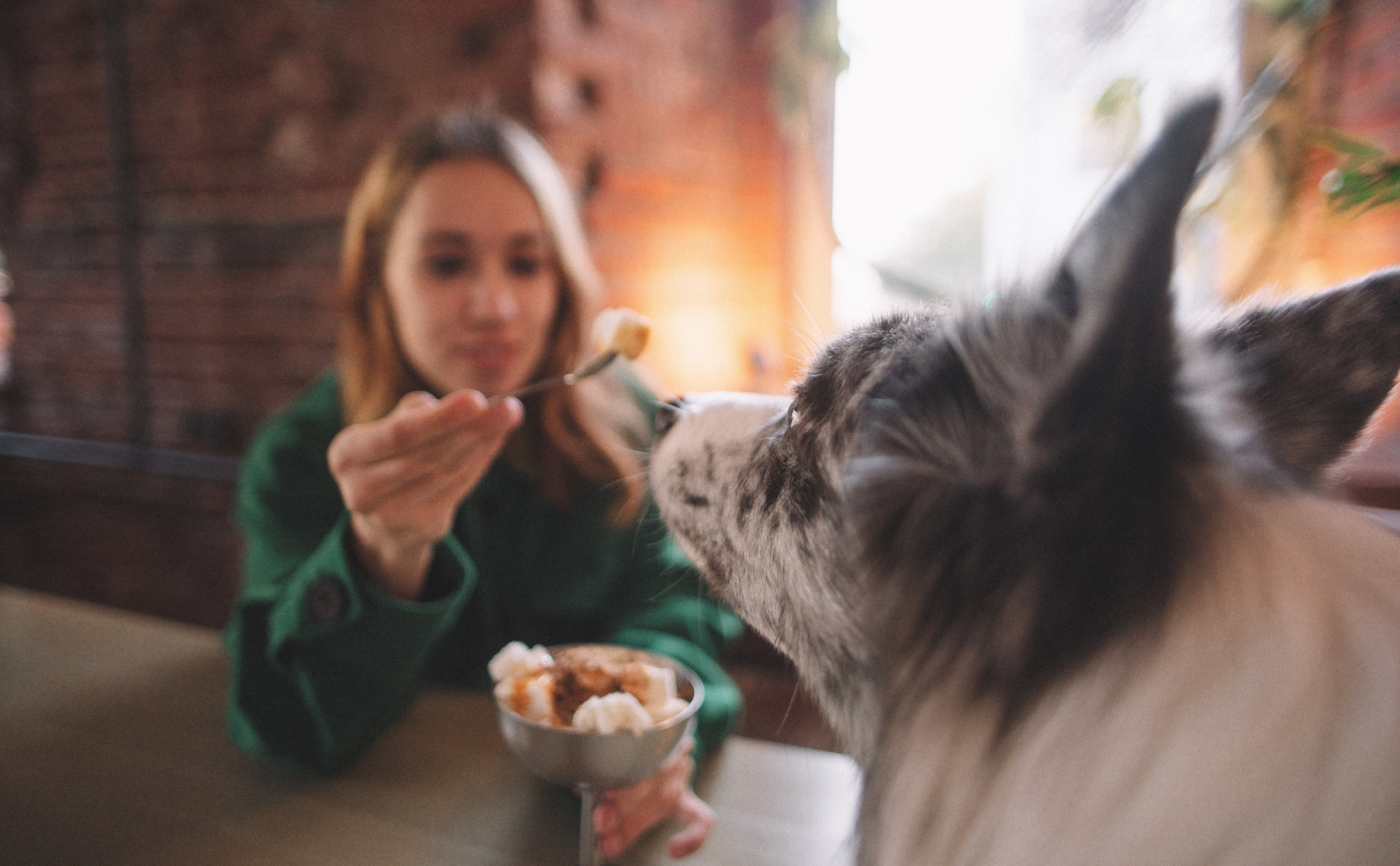 Диана и Робин. Фотограф-анималист Богданова Полина