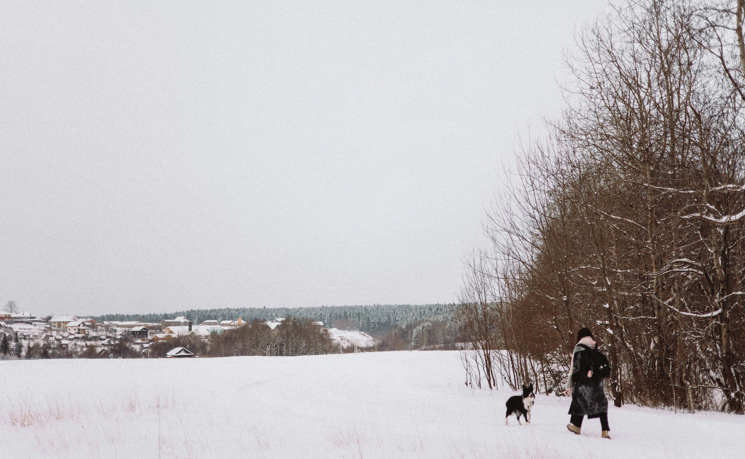Алина и Найт. Фотограф-анималист Богданова Полина