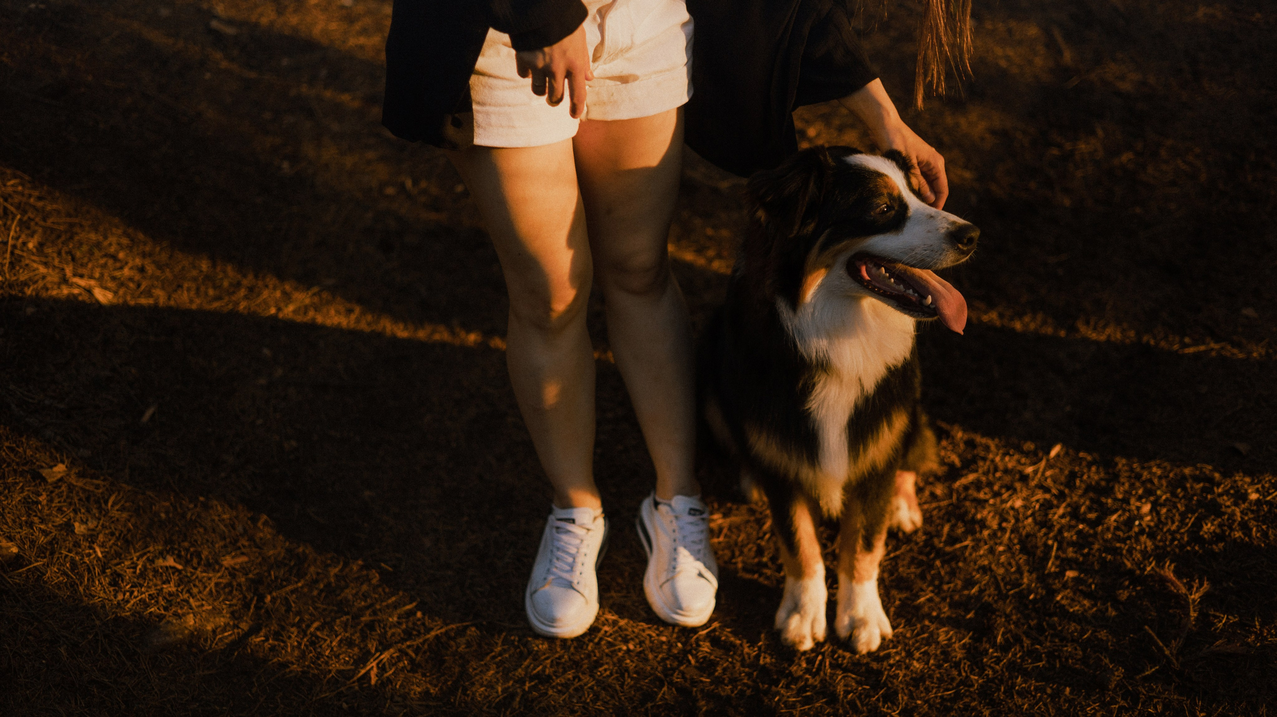 Яна и Уга. Фотограф-анималист Богданова Полина