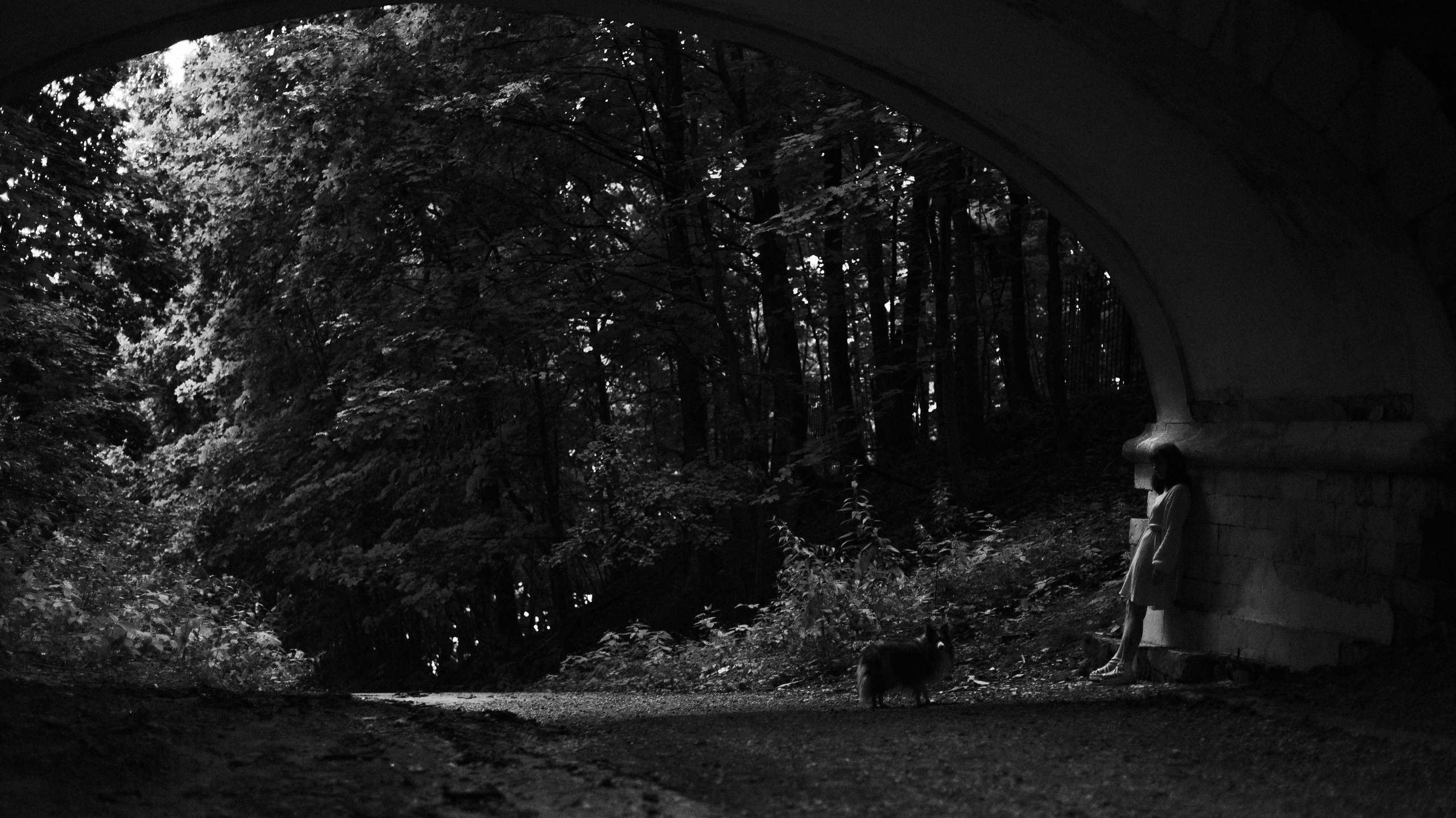 Аня и Скай. Фотограф-анималист Богданова Полина