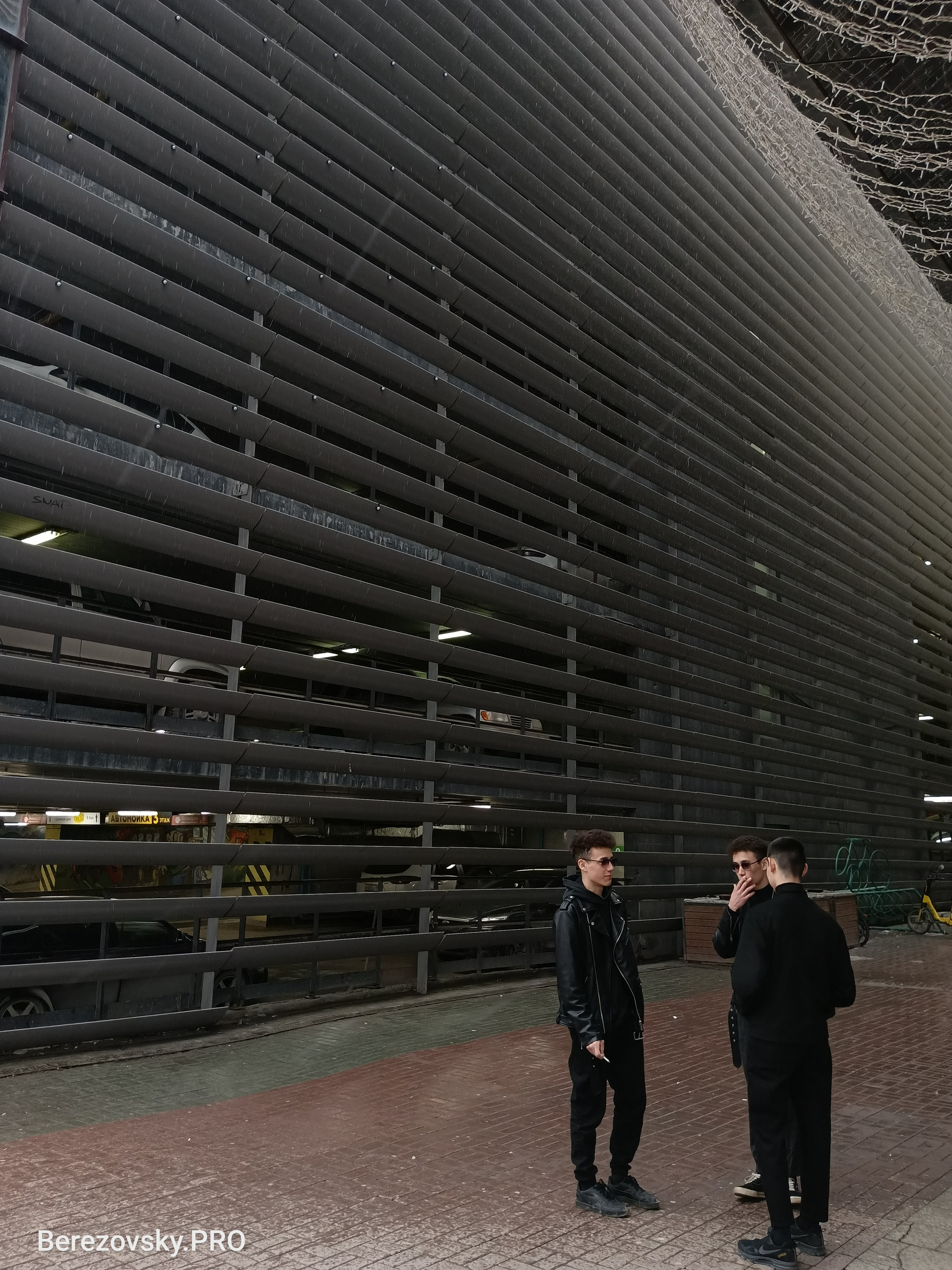 Солнечный. Фотограф в Санкт-Петербурге Березовский Даниил