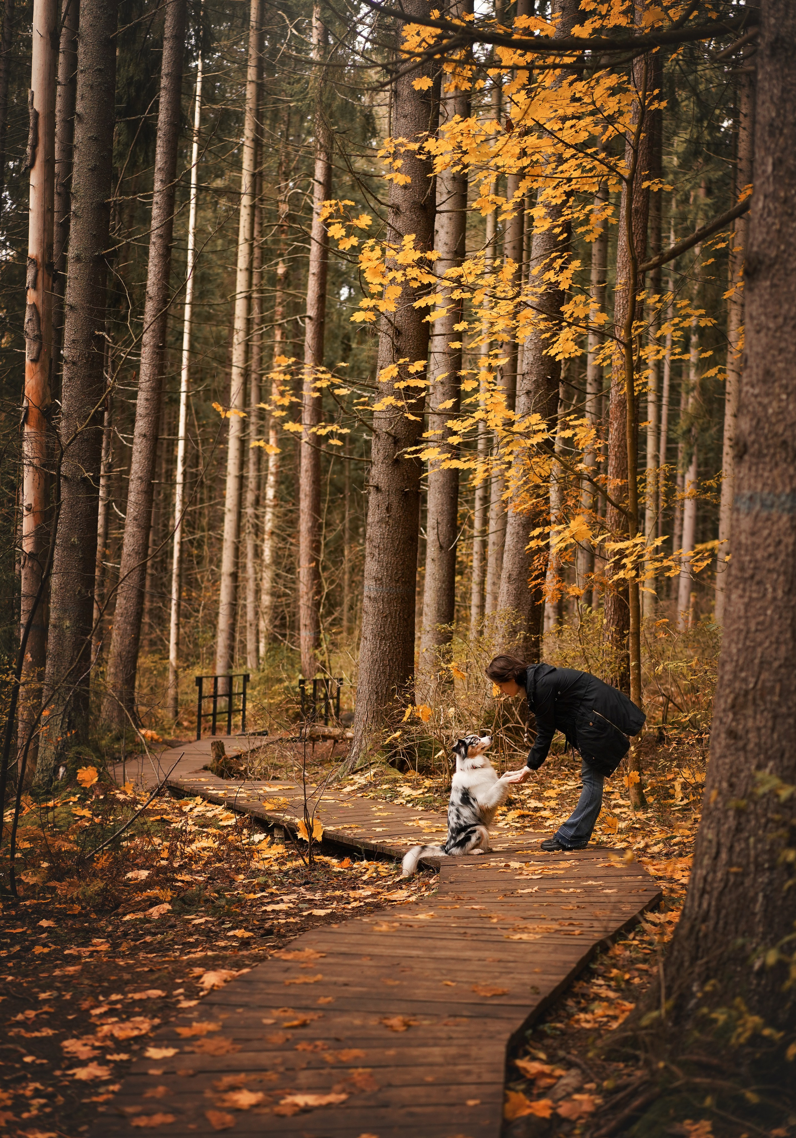 Соня Гавриил и Юкки. Фотограф-анималист в Санкт-Петербурге Яна Мартынова
