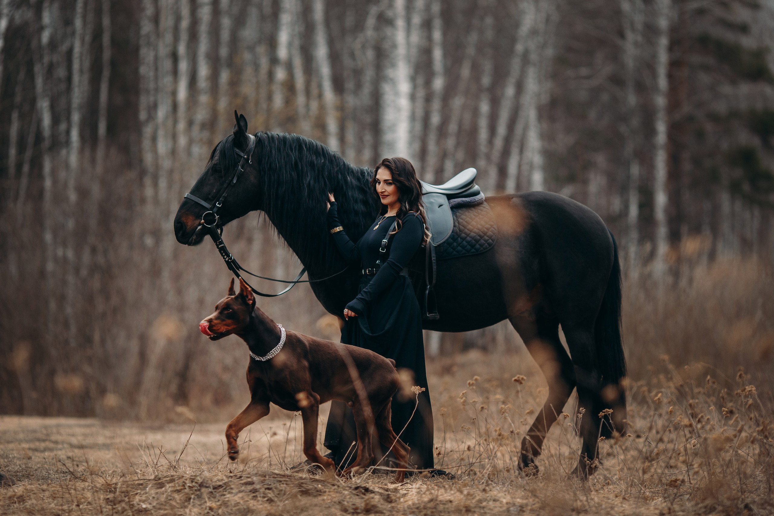 Анна, Басмач и Кипер. Анна Молчанова конный фотограф в Тюмени | фотосессии с лошадьми Тюмень